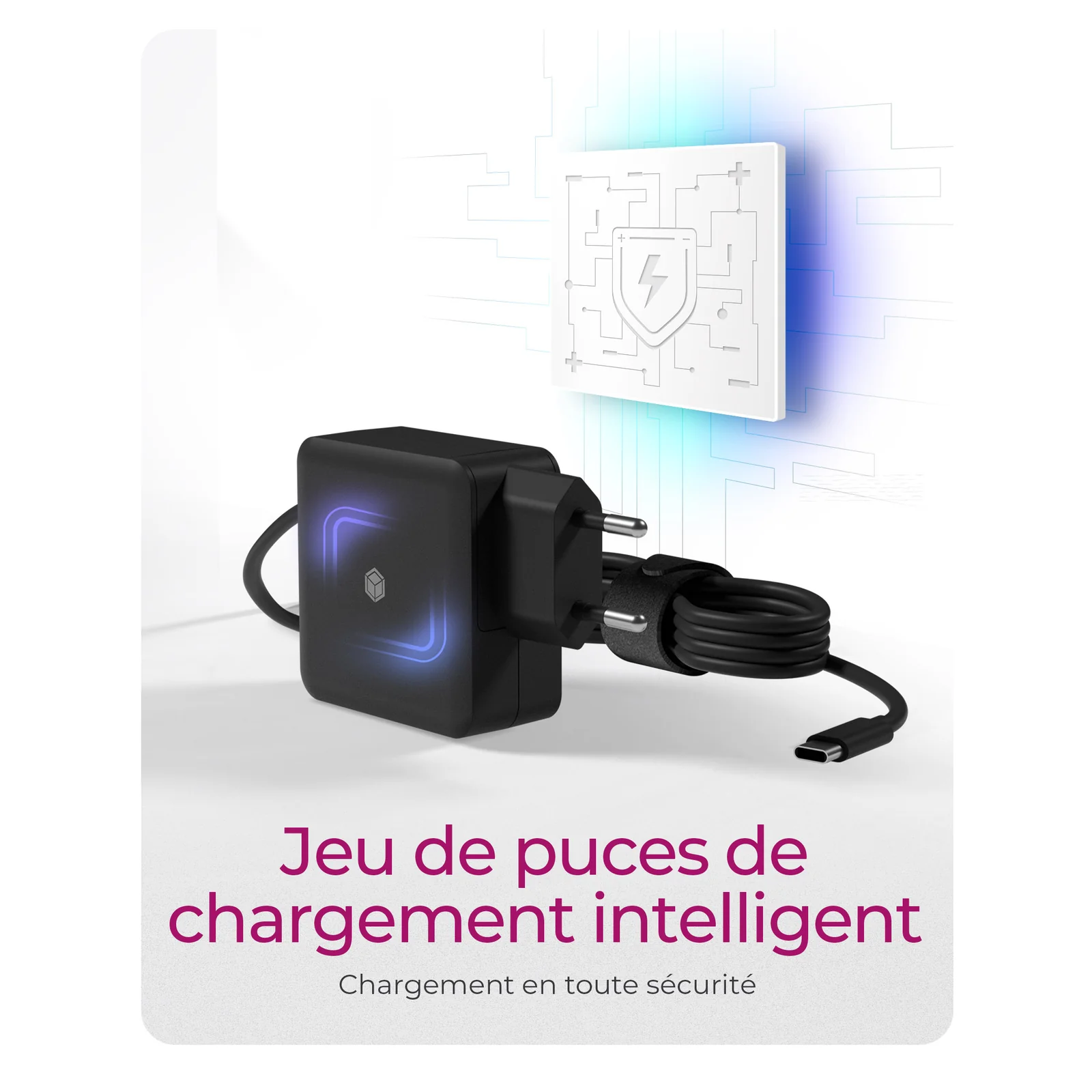 ICY BOX IB-PS111-PD Universel Noir Secteur Intérieure