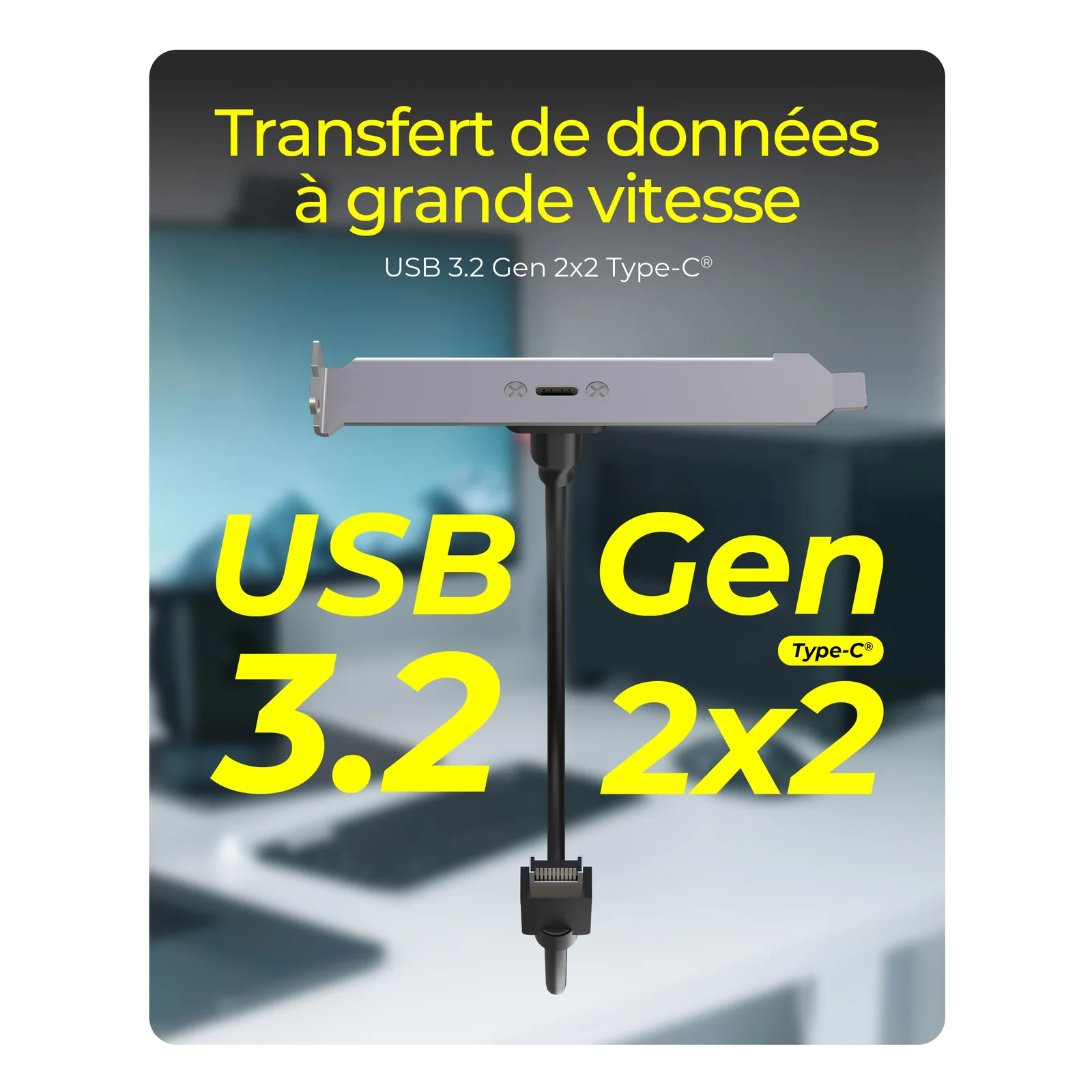 ICY BOX USB Type-C Panneau arrière avec connecteur USB Type-E interne