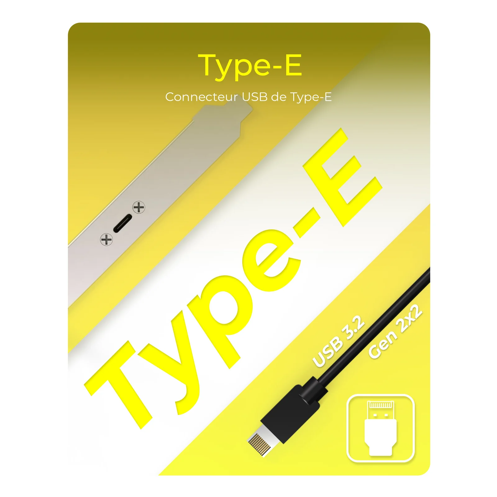 ICY BOX USB Type-C Panneau arrière avec connecteur USB Type-E interne