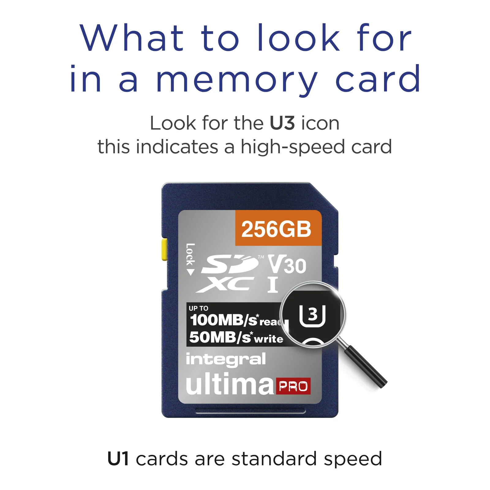 Integral INSDX256G-100/90V30 mémoire flash 256 Go SD UHS-I