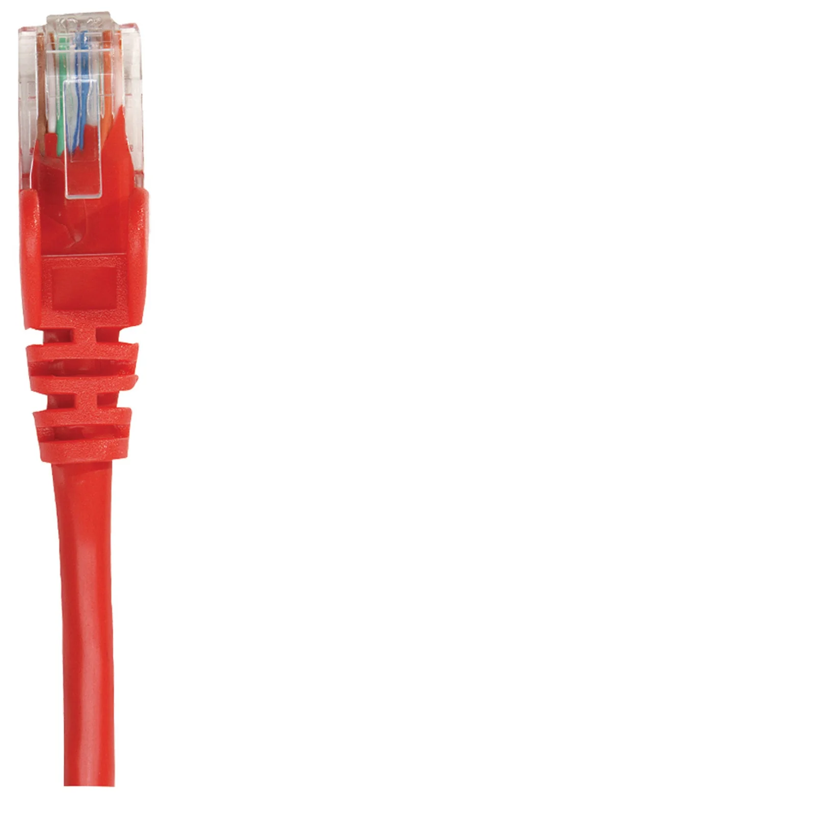 Intellinet Câble patch réseau, Cat6, 0,25 m, rouge, cuivre, S/FTP, LSOH/LSZH, PVC, RJ45, contacts plaqués or, anti-accroc, avec manchon, garantie à vie