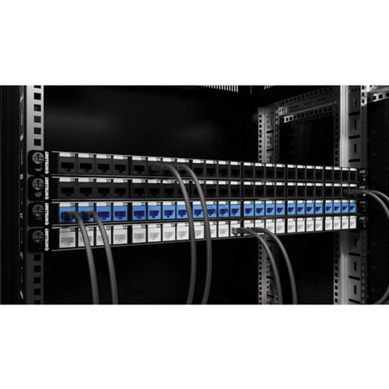Intellinet Panneau de brassage aveugle blindé 24 ports, 0,5U, panneau Keystone 19" non équipé pour installations haute densité, barre de gestion des câbles amovible, noir