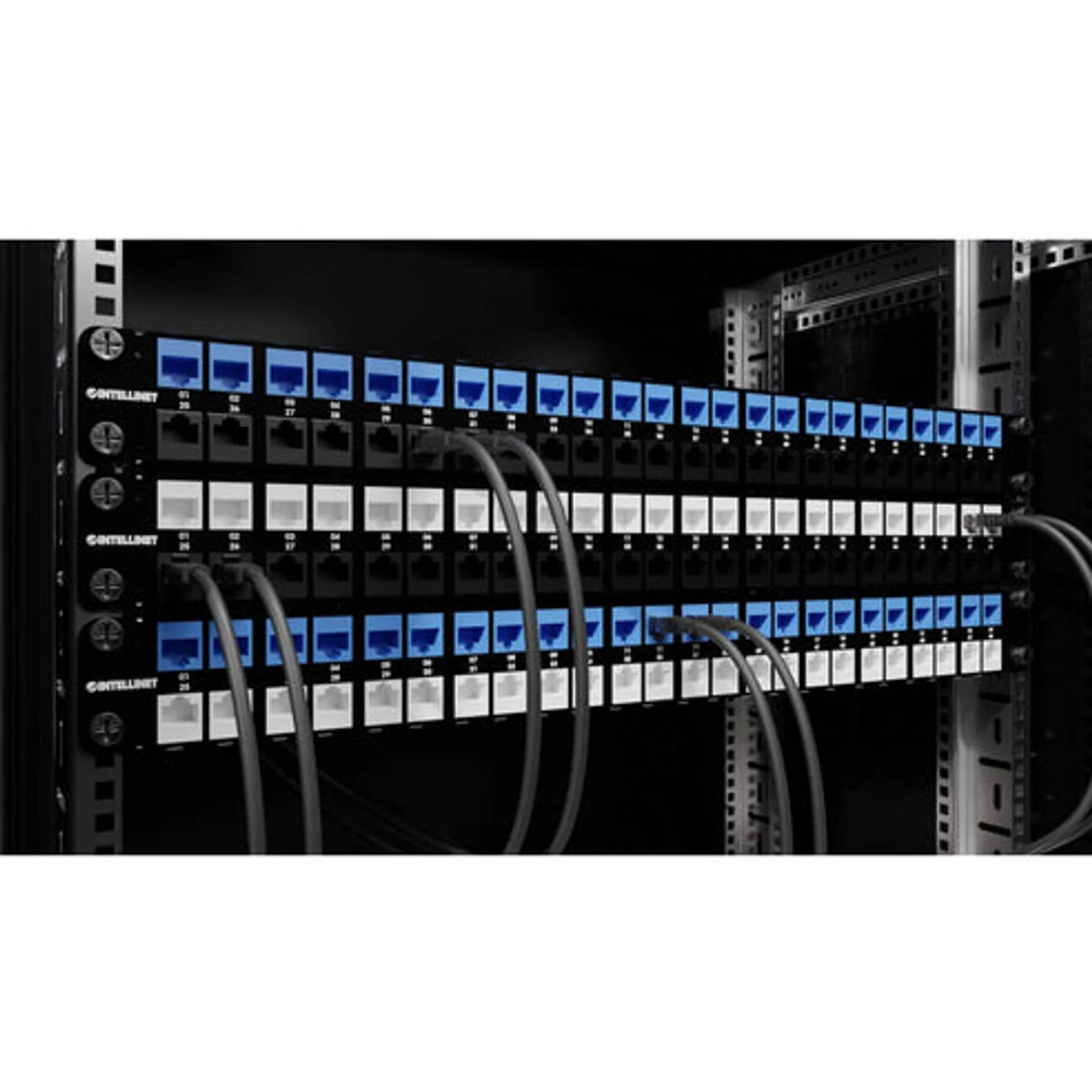 Intellinet Panneau de brassage aveugle blindé 48 ports, 1U, panneau Keystone 19" non équipé pour installations haute densité, barre de gestion des câbles amovible, noir