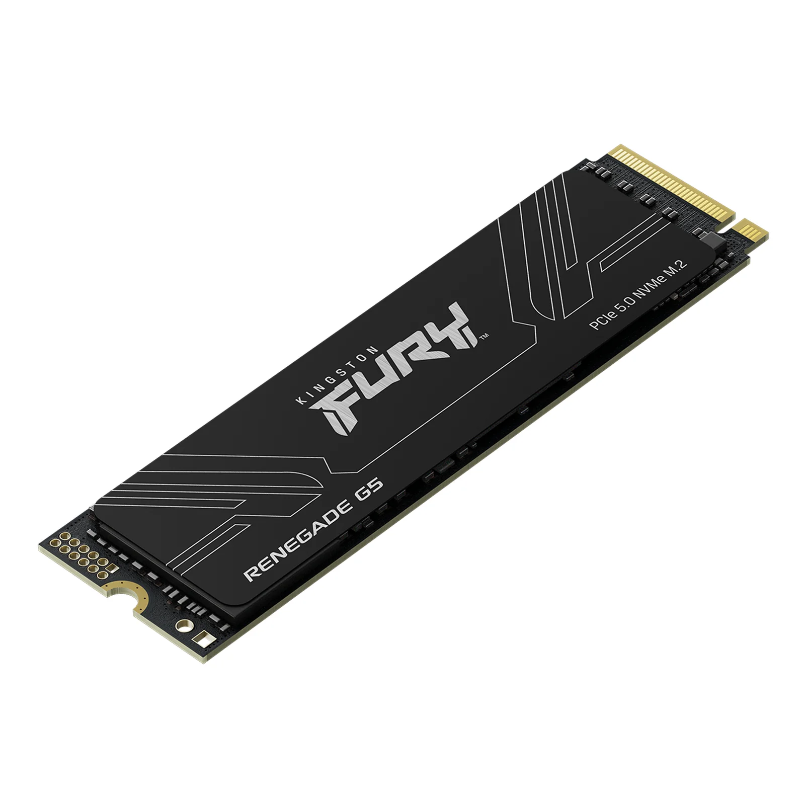 Kingston Technology 1T FURY RENEGADE G5 M.2 2280 NVMe SSD