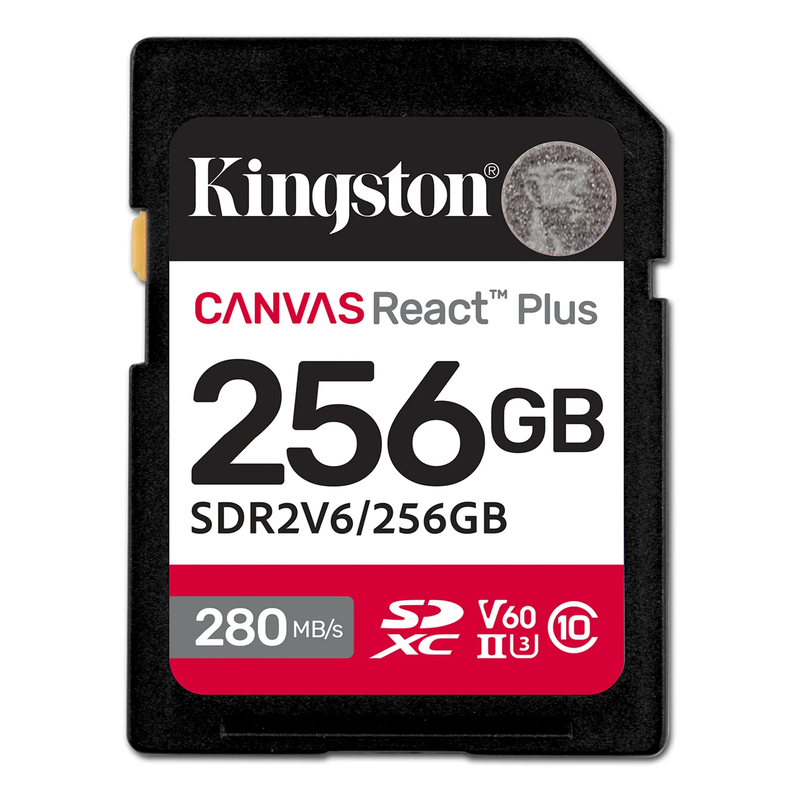 Technology 256GB Canvas React Plus SDXC UHS-II 280R/150W U3 V60 for Full HD/4K