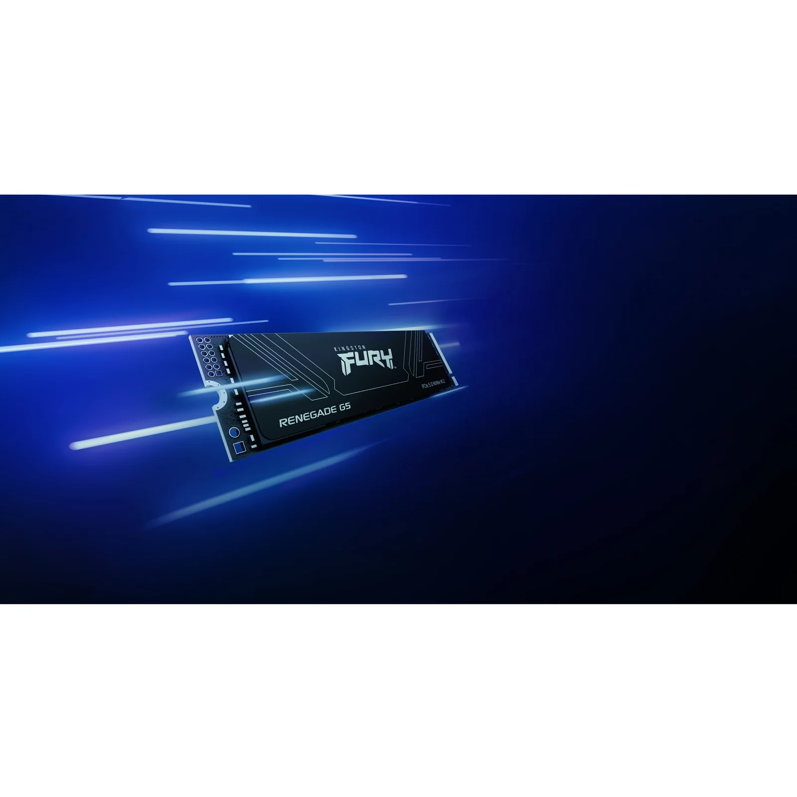 Kingston Technology 2T FURY RENEGADE G5 M.2 2280 NVMe SSD