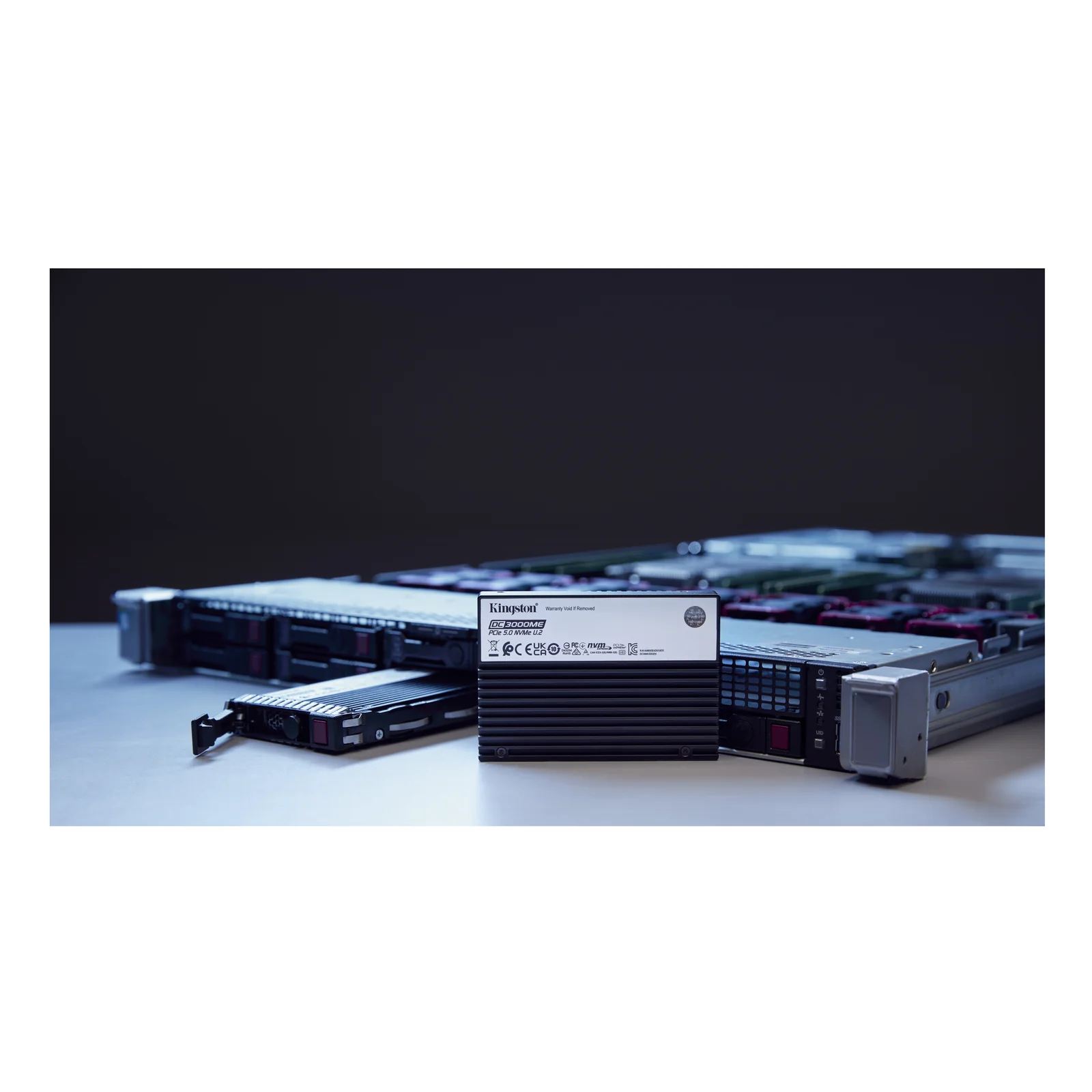 Kingston Technology 3,84TB DC3000ME U.2 PCIe 5.0 NVMe TCG Opal Enterprise SSD