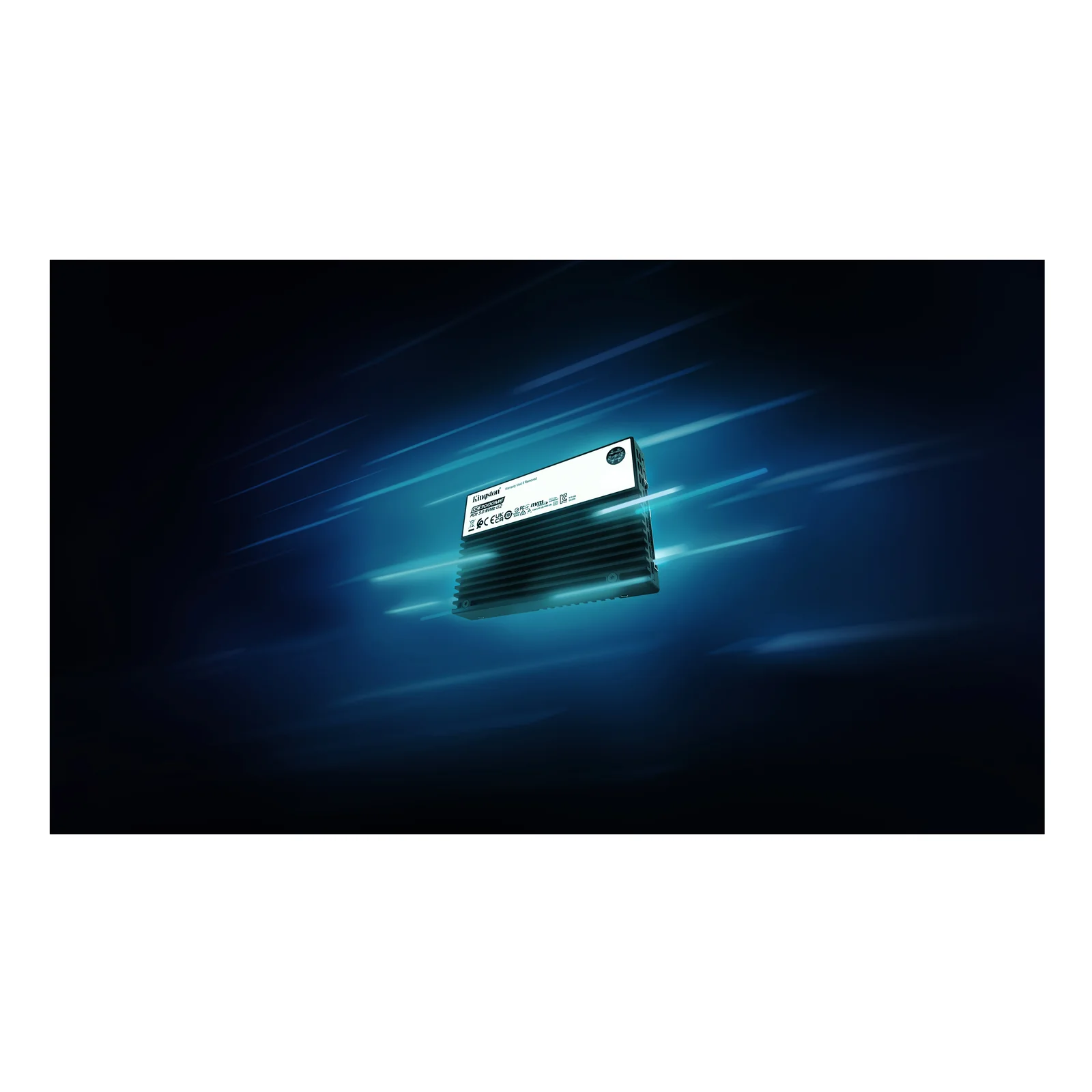 Kingston Technology 3,84TB DC3000ME U.2 PCIe 5.0 NVMe TCG Opal Enterprise SSD