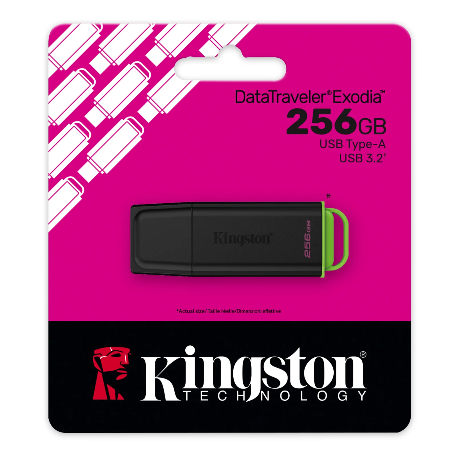 Kingston Technology DataTraveler 256Go Stockage portable USB 3.2 Gen 1 Exodia Noir + Vert