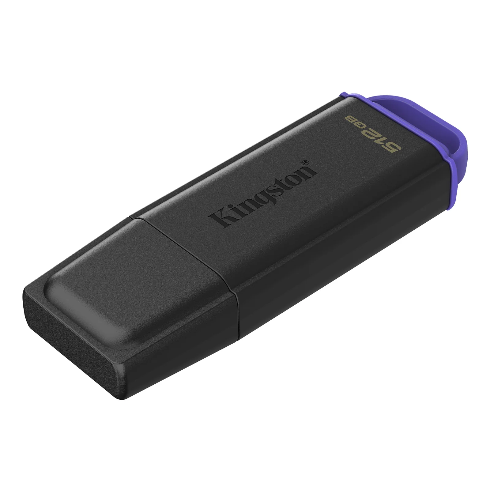 Kingston Technology DataTraveler 512Go Stockage portable USB 3.2 Gen 1 Exodia Noir + Violet