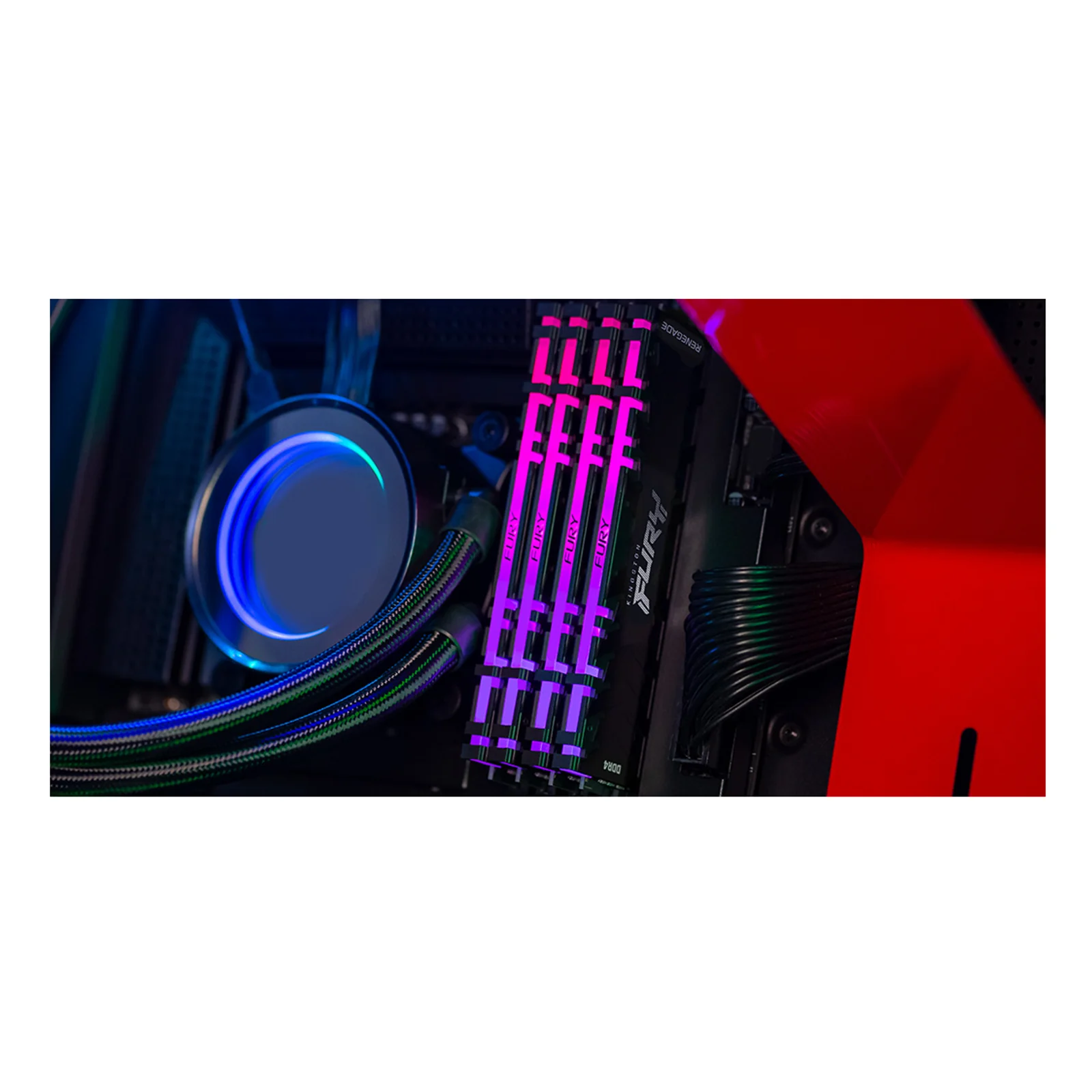 Kingston Technology FURY 32 Go 3600 MT/s DDR4 CL16 DIMM (Kits de 2) 1Gx8 Renegade RGB