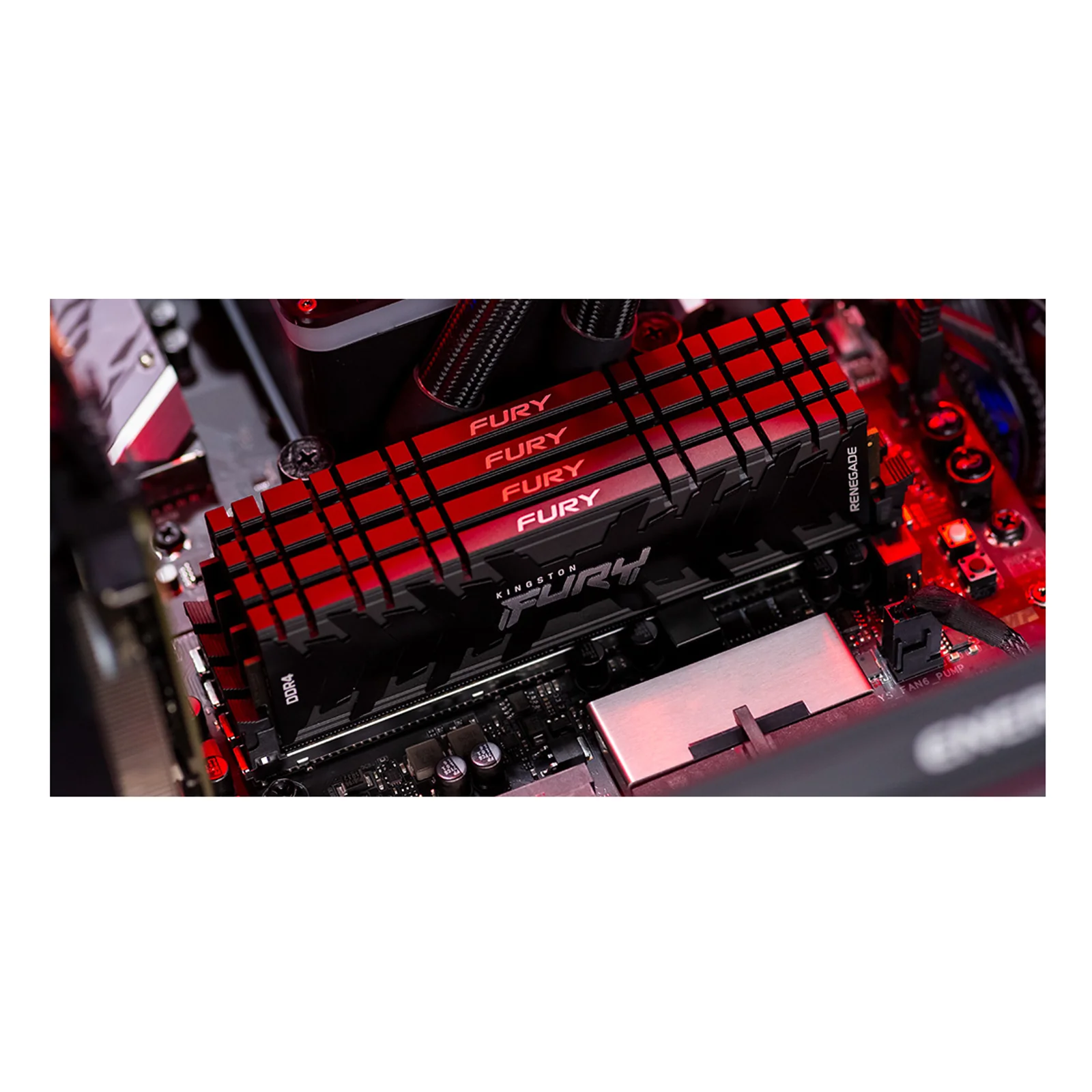Kingston Technology FURY 32 Go 3600 MT/s DDR4 CL16 DIMM (Kits de 2) 1Gx8 Renegade RGB