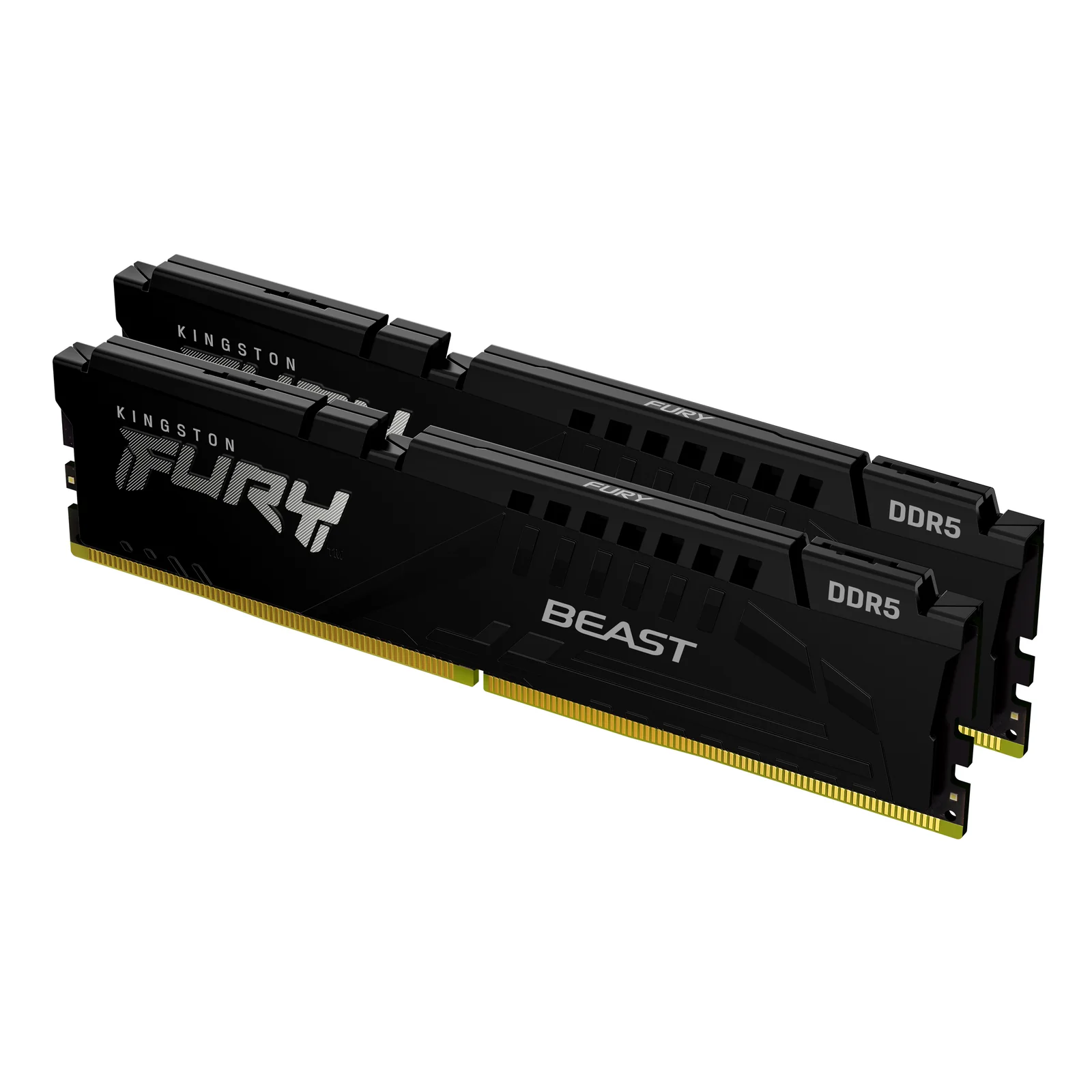 Technology FURY Beast 32 Go 6000 MT/s DDR5 CL30 DIMM (Kits de 2) Black EXPO