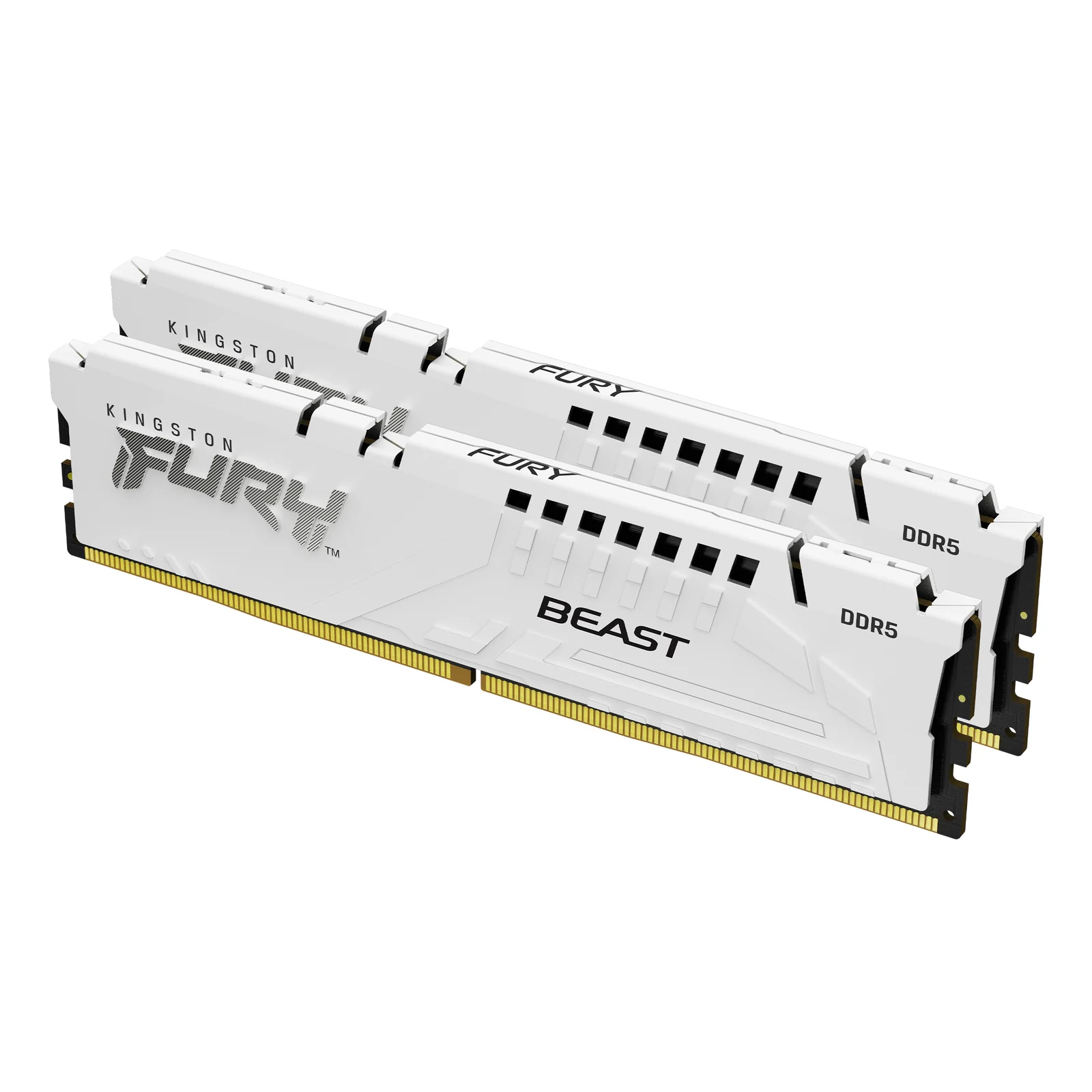 Technology FURY Beast 32 Go 6000 MT/s DDR5 CL30 DIMM (Kits de 2) White EXPO
