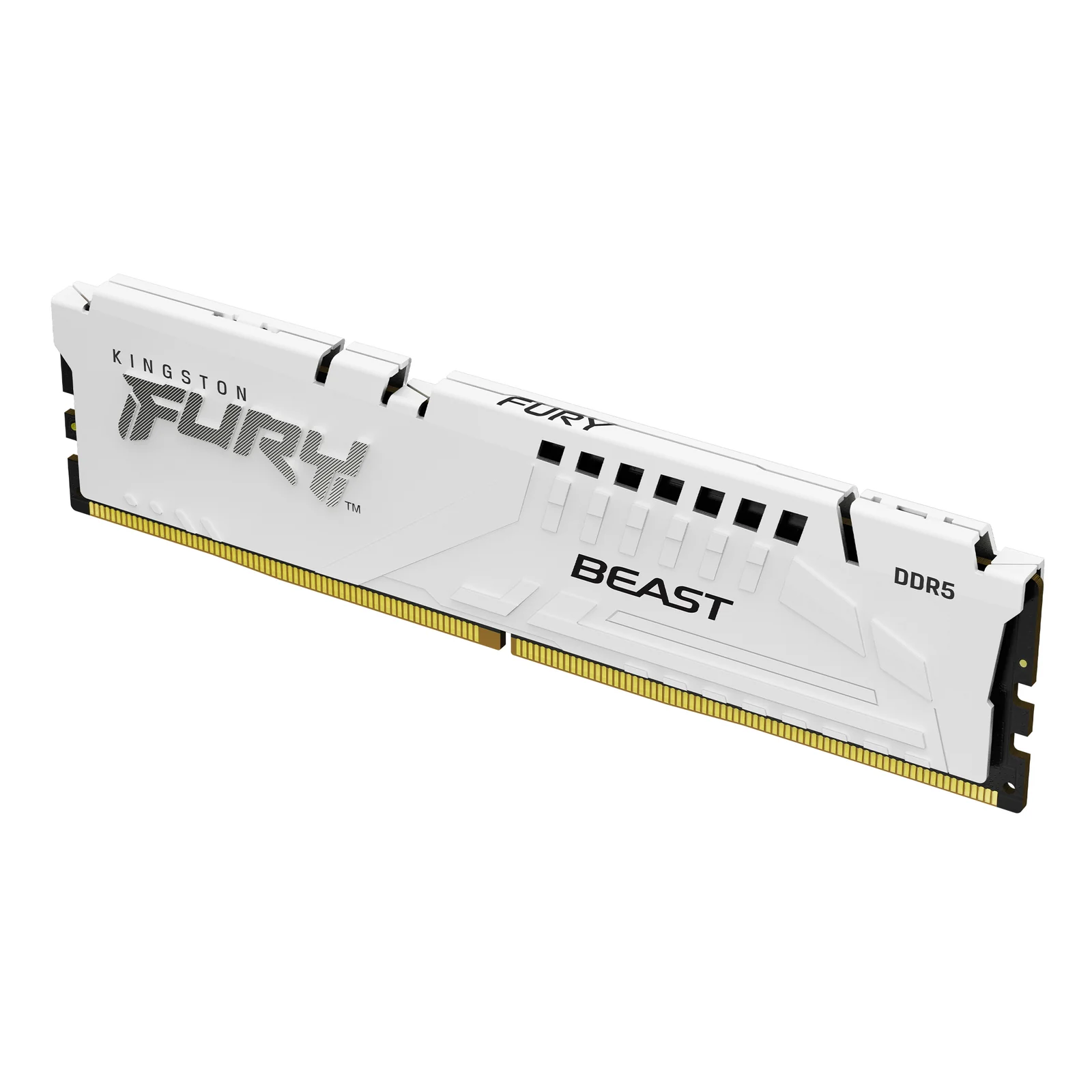 Kingston Technology FURY Beast 32 Go 6000 MT/s DDR5 CL30 DIMM (Kits de 2) White EXPO