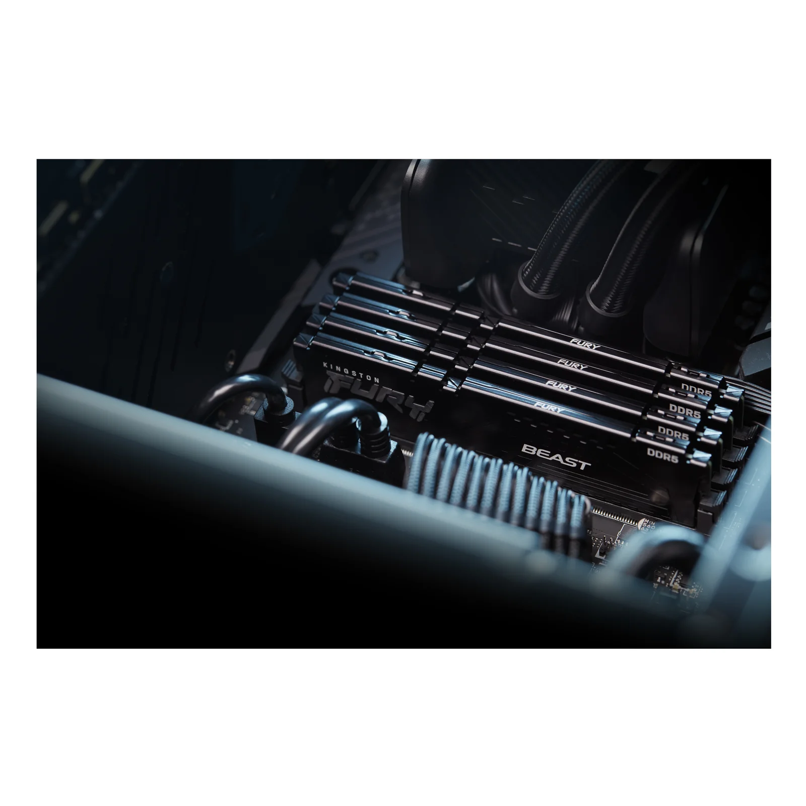 Kingston Technology FURY Beast 64Go 5600MT/s DDR5 CL40 DIMM Noir