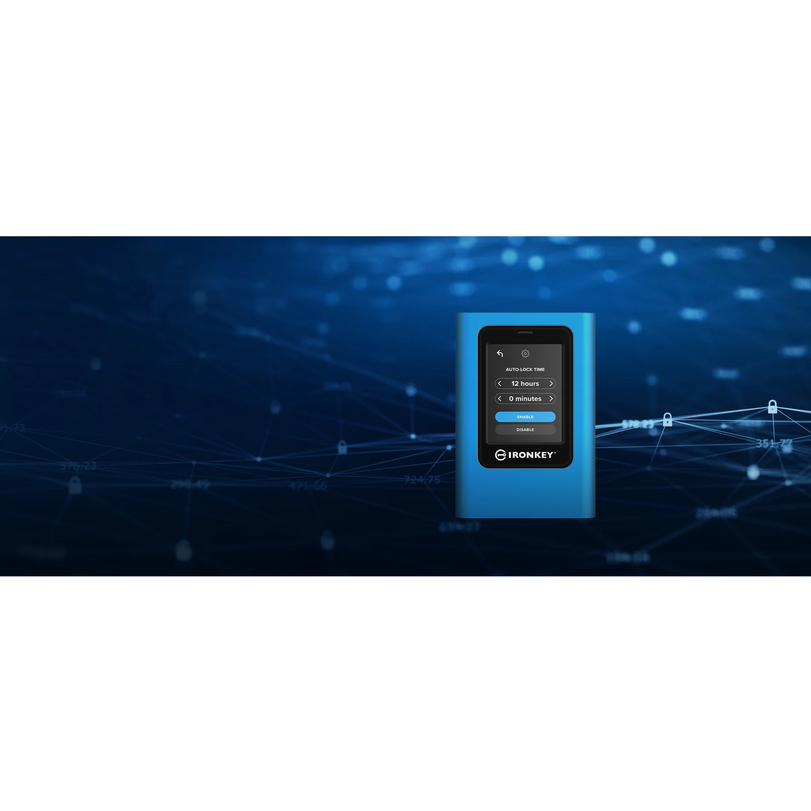 Kingston Technology IronKey 1920Go Vault Privacy 80 XTS-AES 256-bit SSD externe chiffré