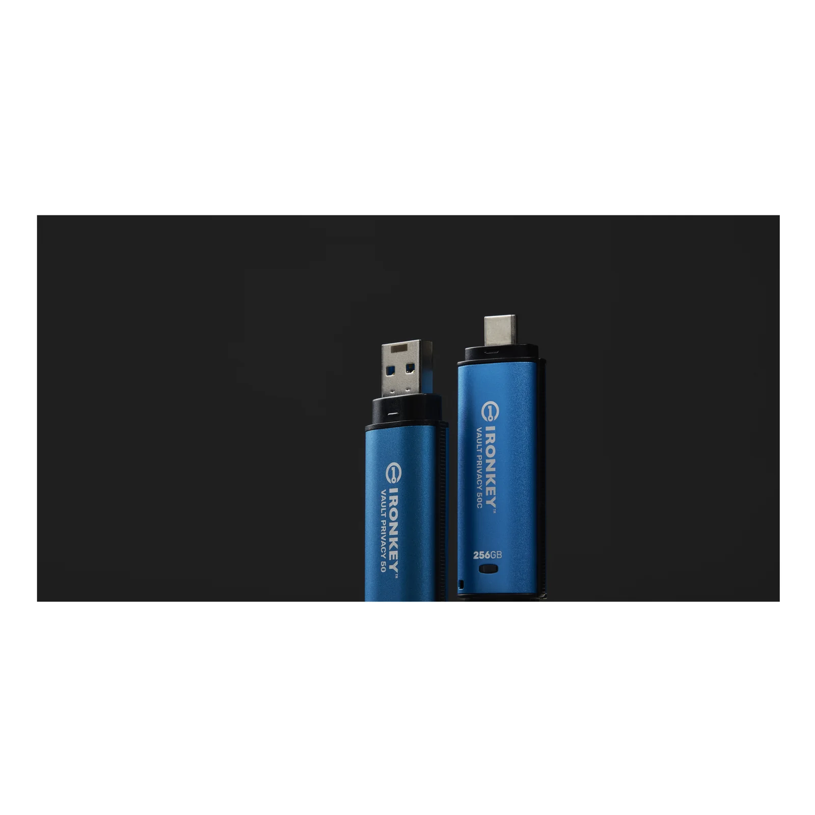 Kingston Technology IronKey 256Go Vault Privacy 50 chiffrée AES-256, FIPS 197