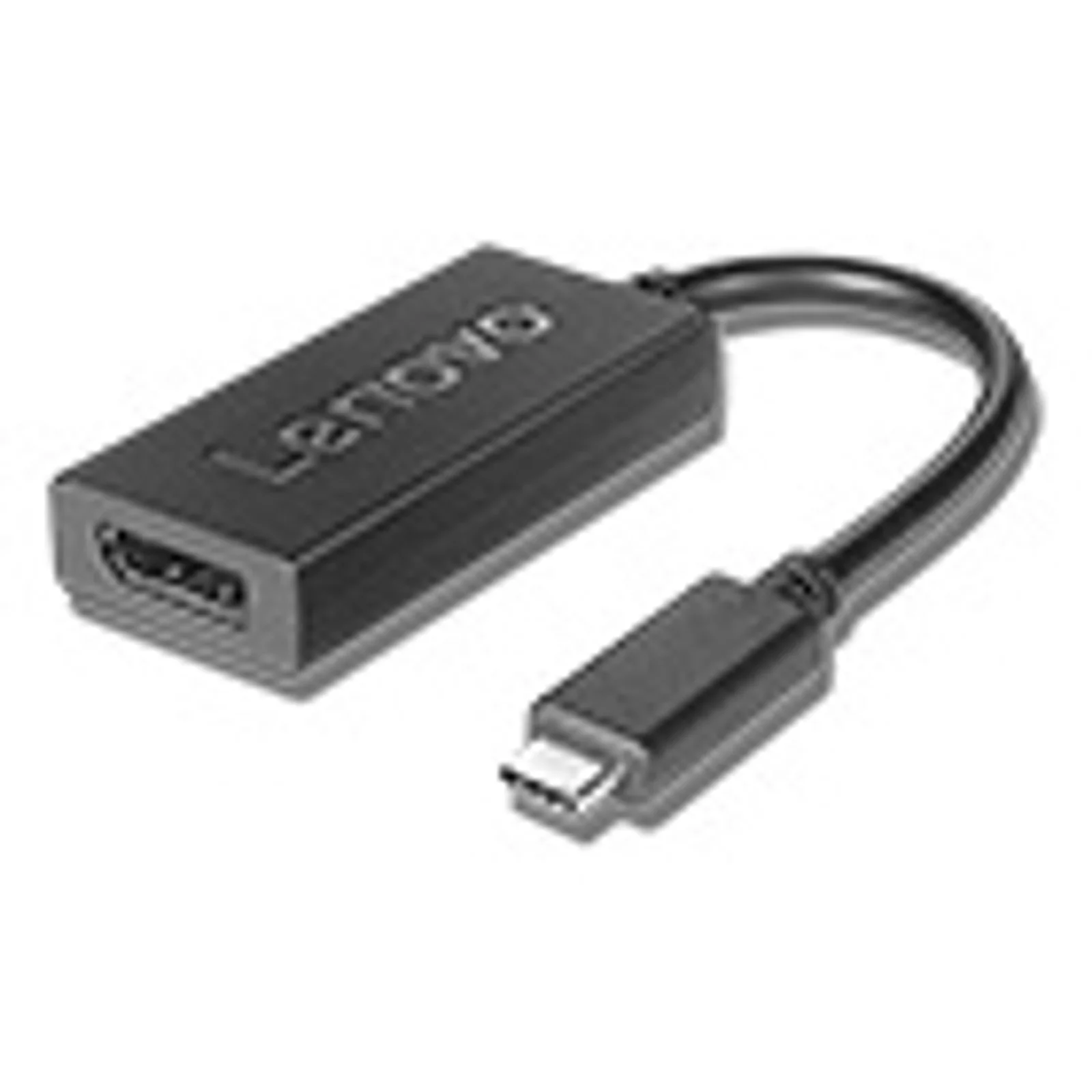 4X90Q93303 câble vidéo et adaptateur 0,2 m USB Type-C DisplayPort Noir