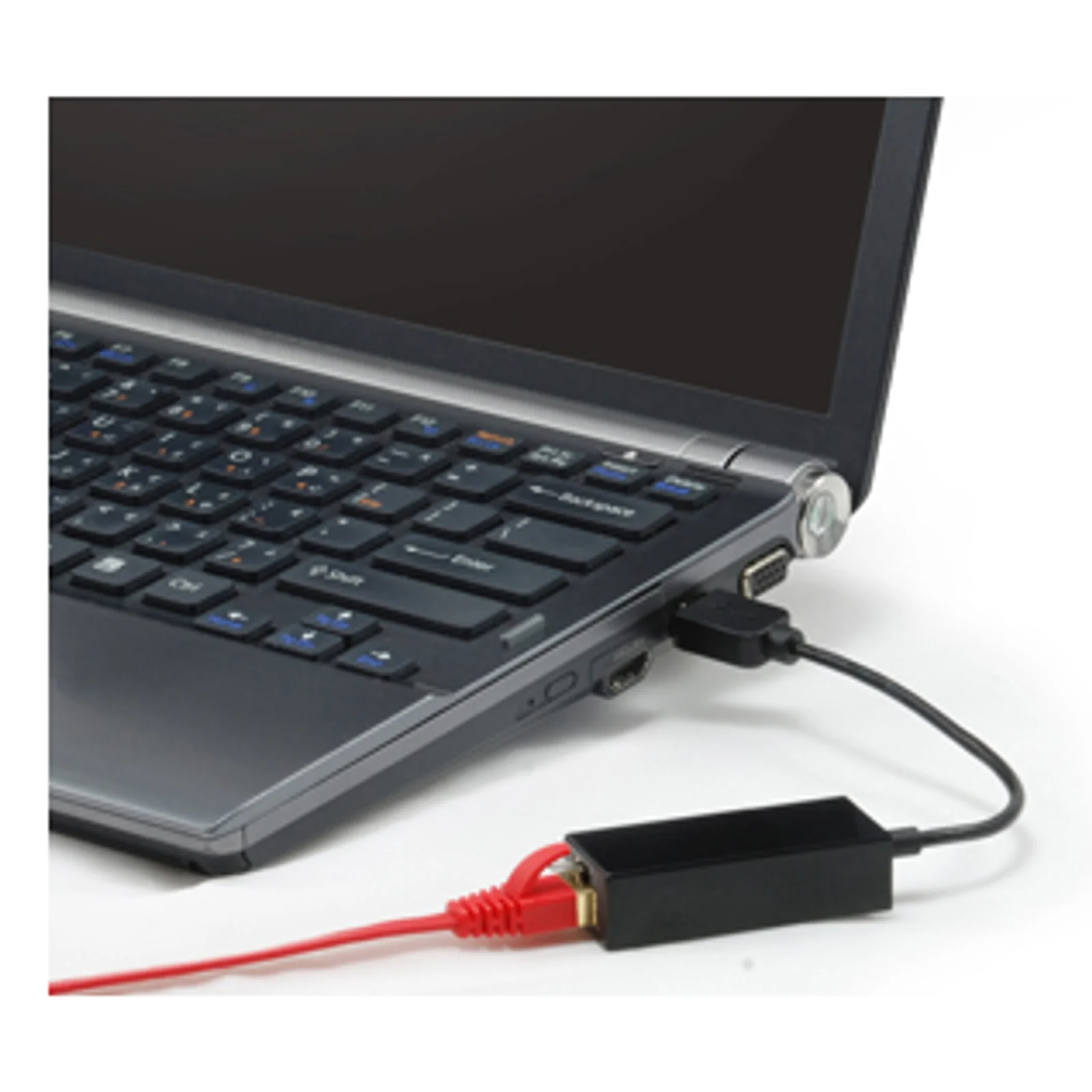 LevelOne USB-0301 carte réseau 100 Mbit/s