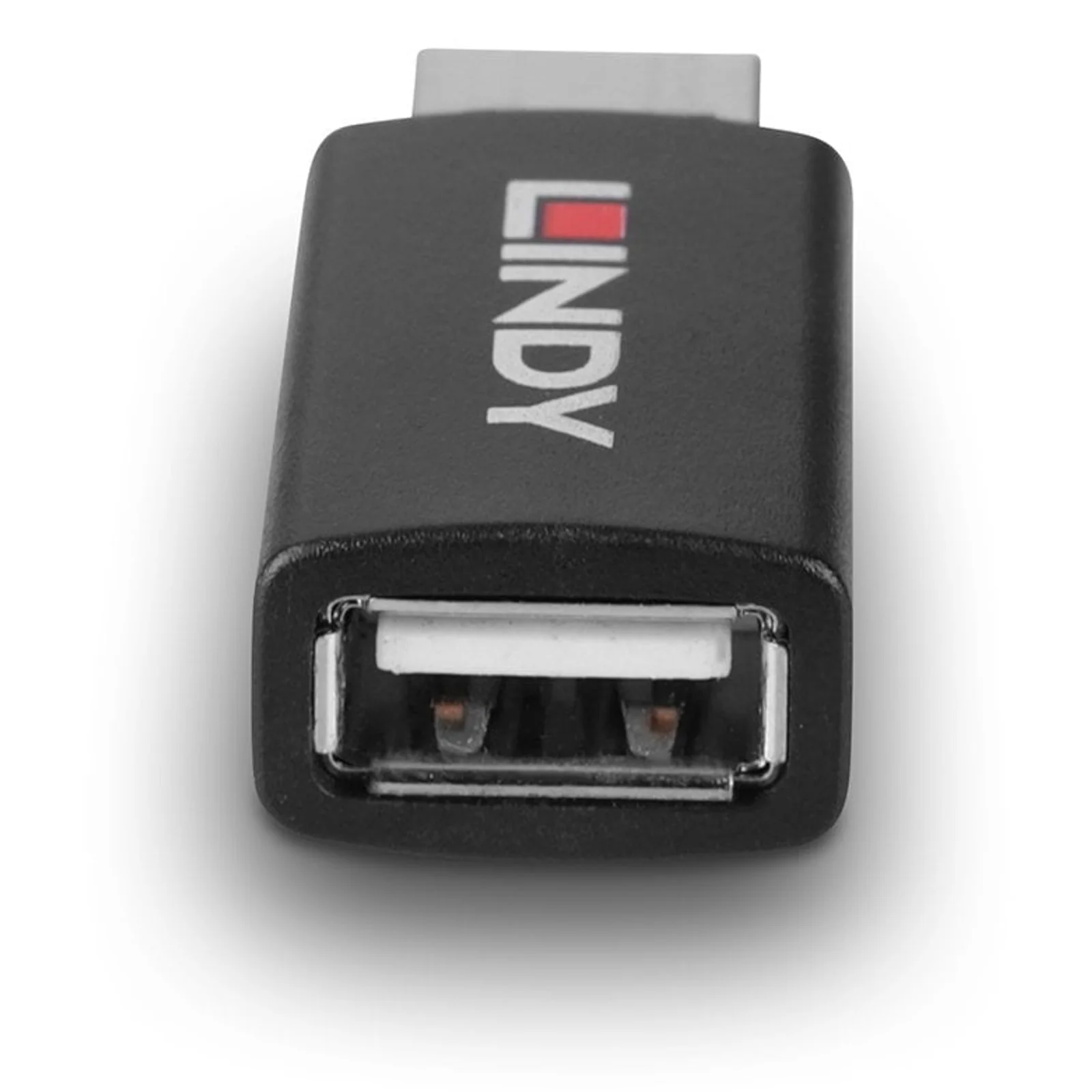 Lindy Bloqueur de données USB 2.0 Type A vers A avec Battery Charging 1.2