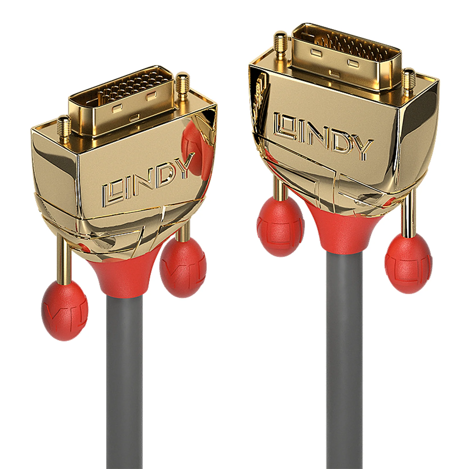 Lindy Câble DVI-D Dual Link, Gold Line, 0.5m