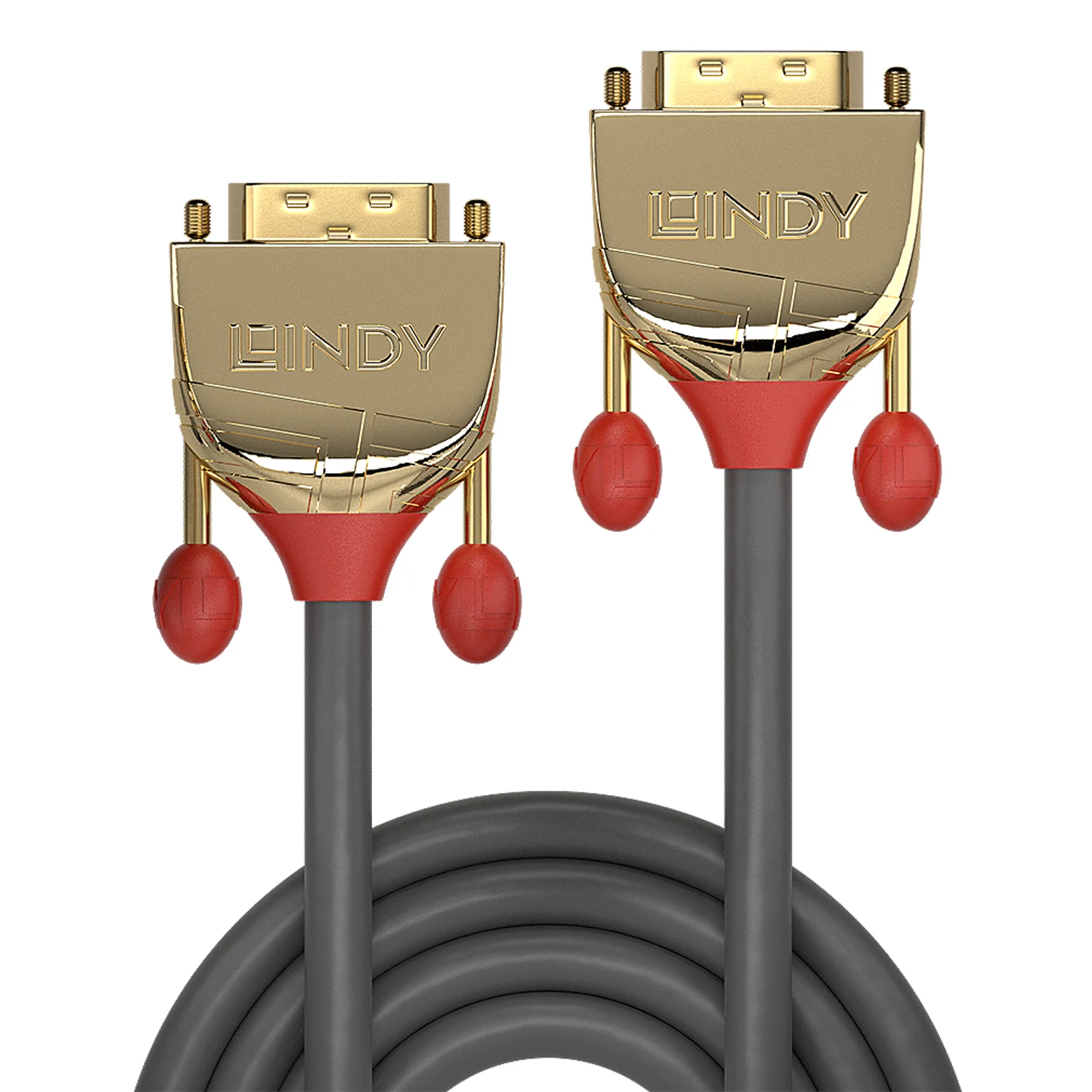 Lindy Câble DVI-D Single Link, Gold Line, 20m