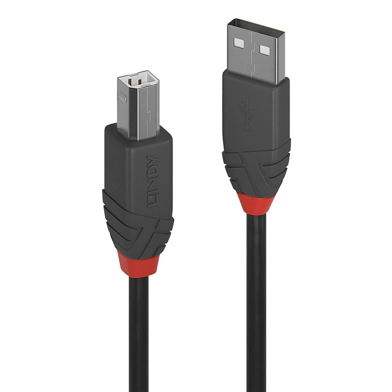 Câble USB 2.0 Type A vers B, Anthra Line, 0.2m
