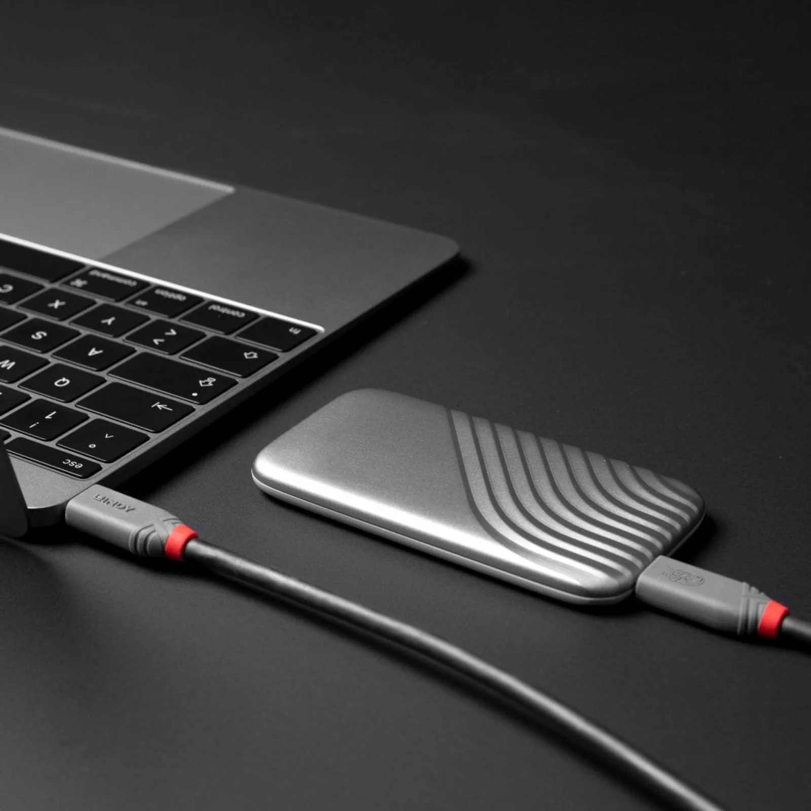 Lindy Câble USB4 Type C de 1.5m, 40Gbit/s, 240W PD, gamme Anthra