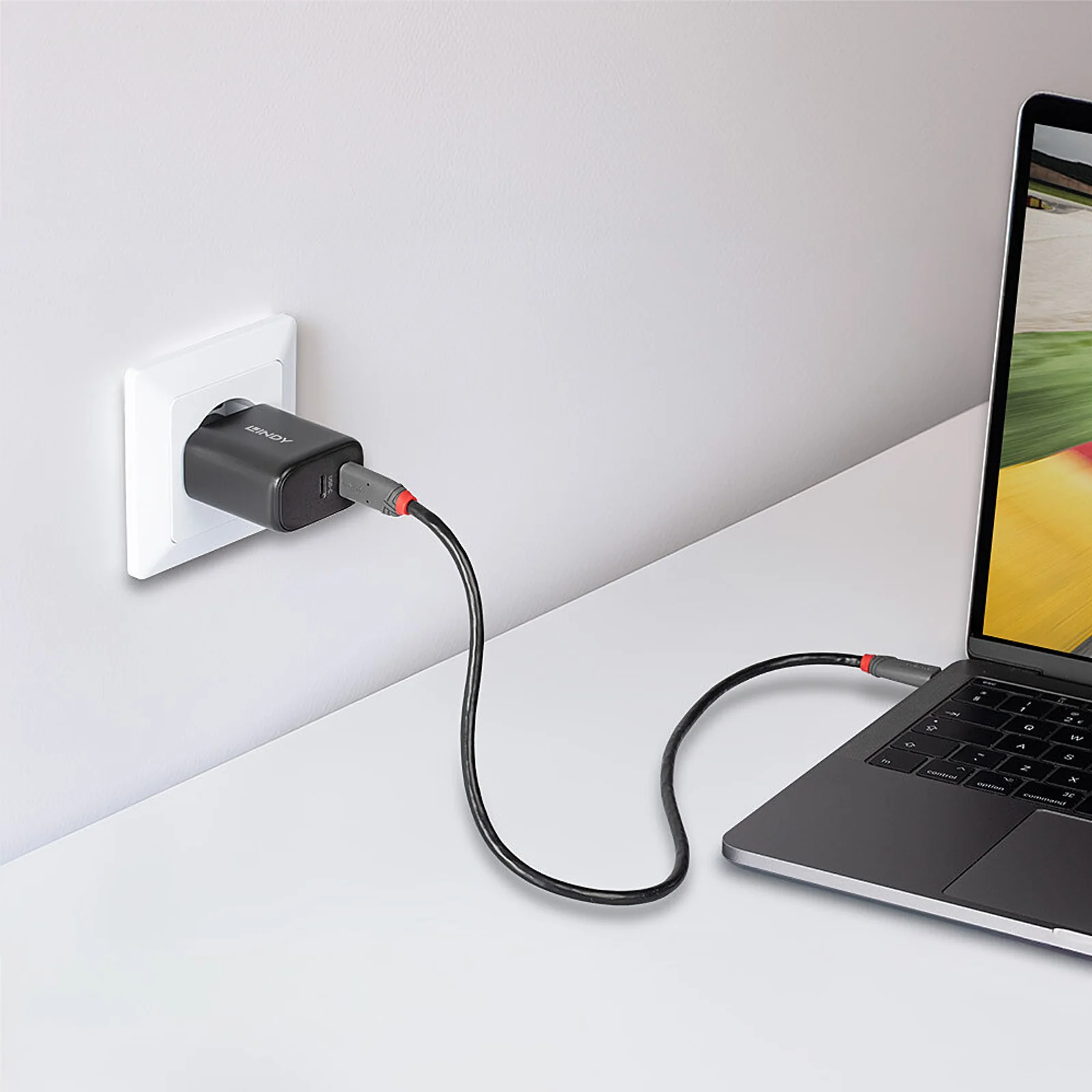 Lindy Chargeur GaN 65W 2 x USB Type C