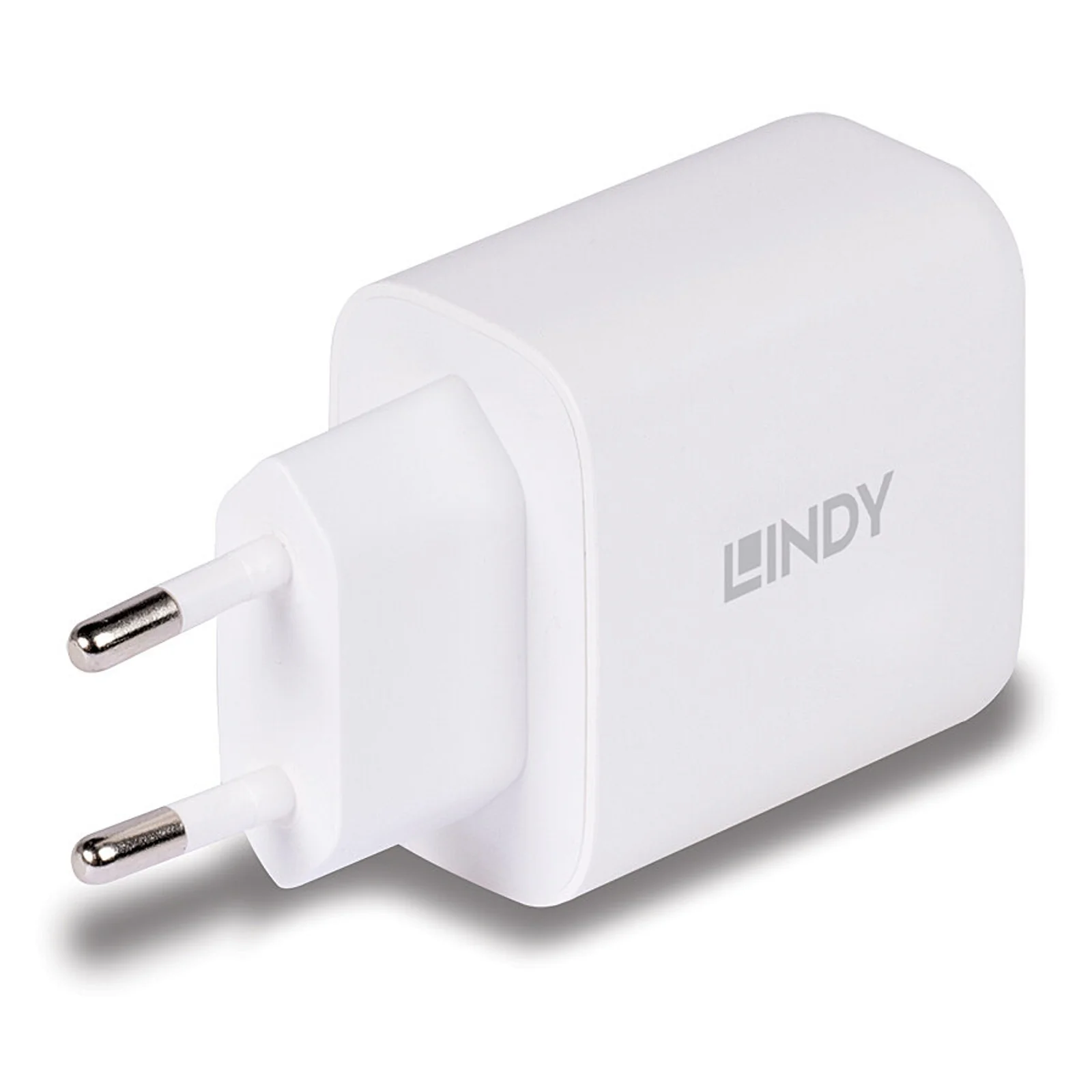 Lindy Chargeur GaN 65W USB Type A & C