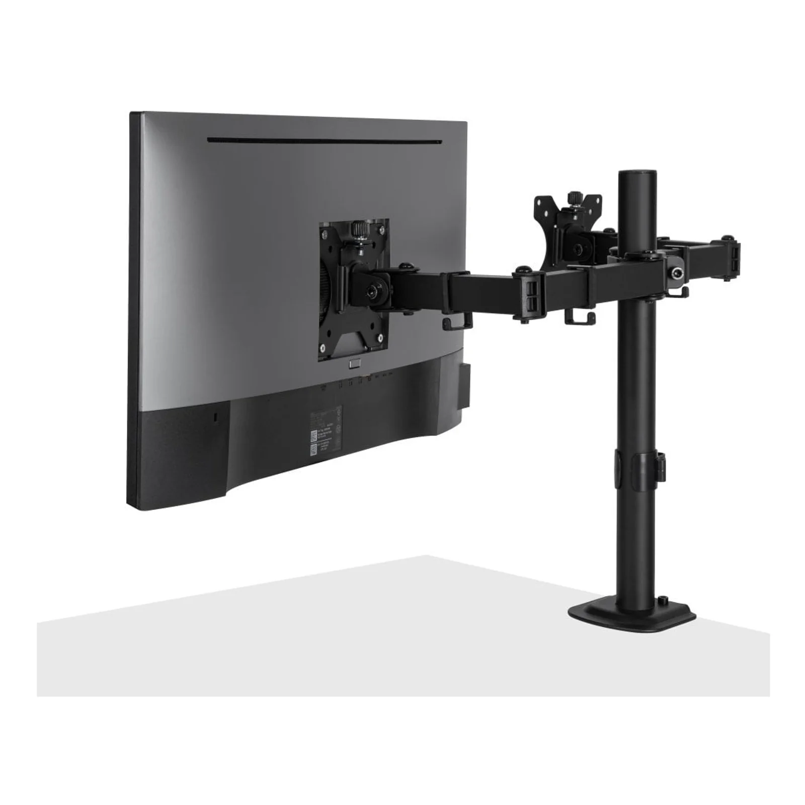 Lindy Support d'écran double fixe et ajustable - Noir