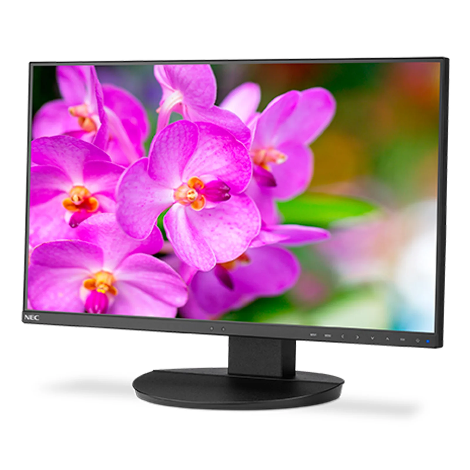 MultiSync EA241F-BK écran plat de PC 61 cm (24") 1920 x 1080 pixels Full HD LED Noir