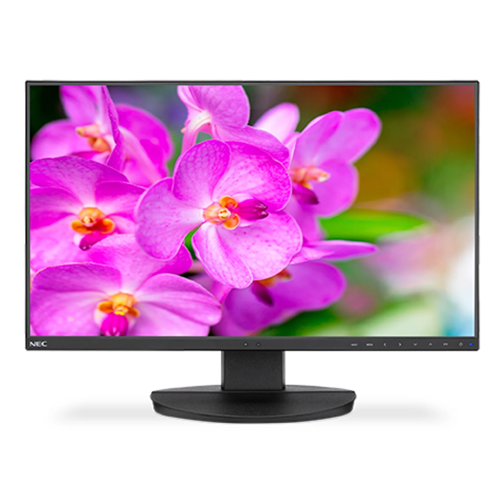 NEC MultiSync EA241F-BK écran plat de PC 61 cm (24") 1920 x 1080 pixels Full HD LED Noir