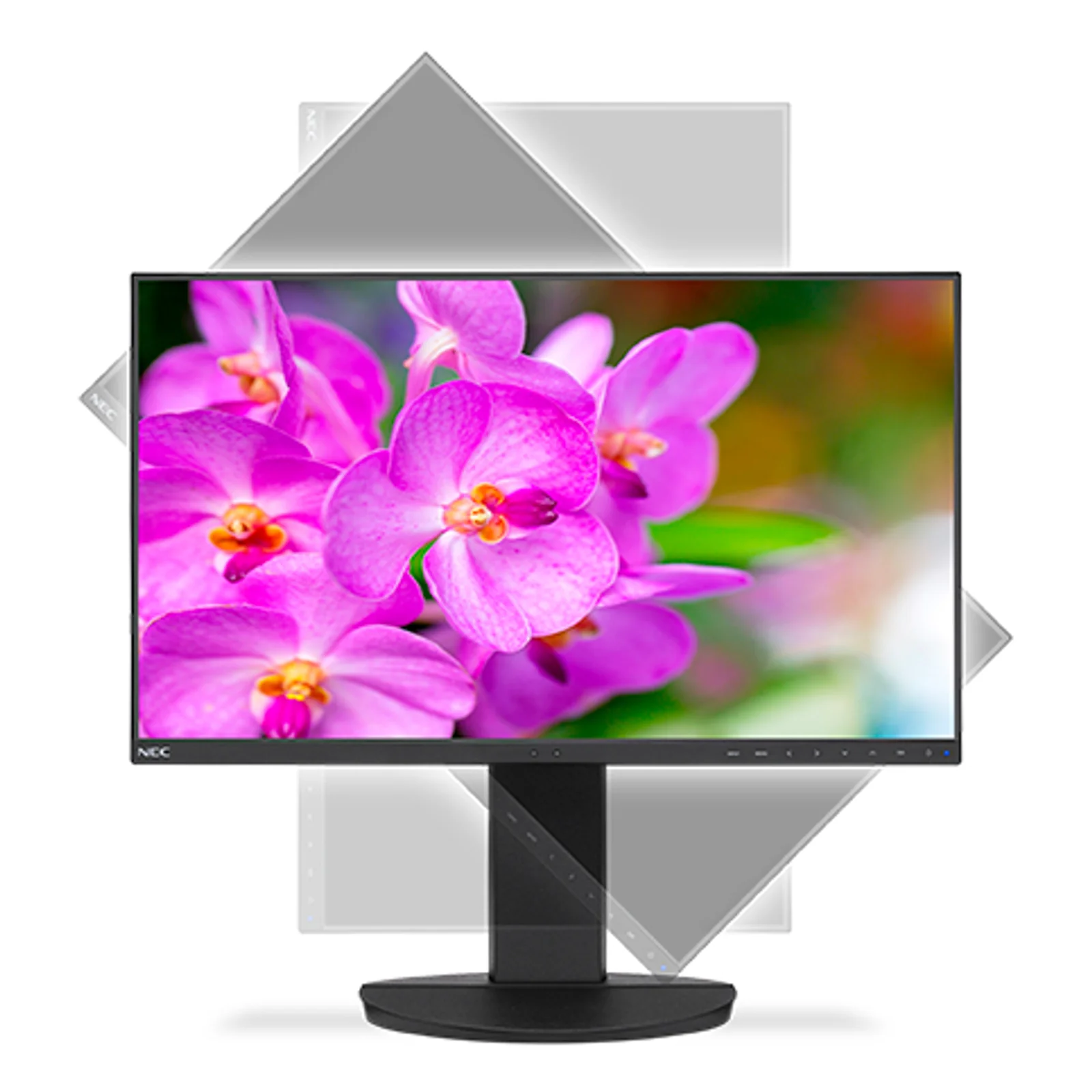 NEC MultiSync EA241F-BK écran plat de PC 61 cm (24") 1920 x 1080 pixels Full HD LED Noir