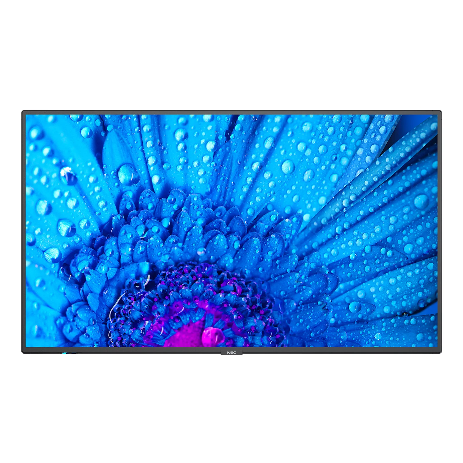 MultiSync M651 Écran plat de signalisation numérique 165,1 cm (65") IPS 500 cd/m² 4K Ultra HD Noir 24/7