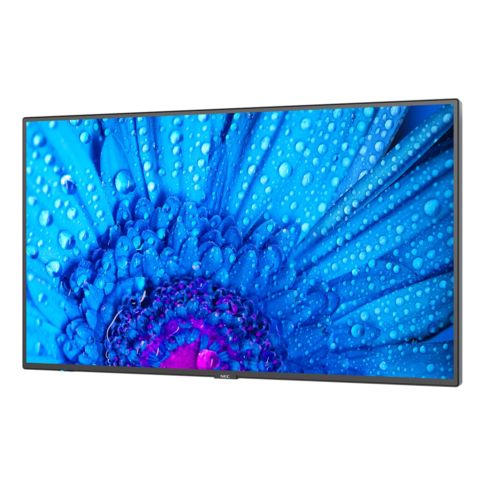 NEC MultiSync M651 Écran plat de signalisation numérique 165,1 cm (65") IPS 500 cd/m² 4K Ultra HD Noir 24/7