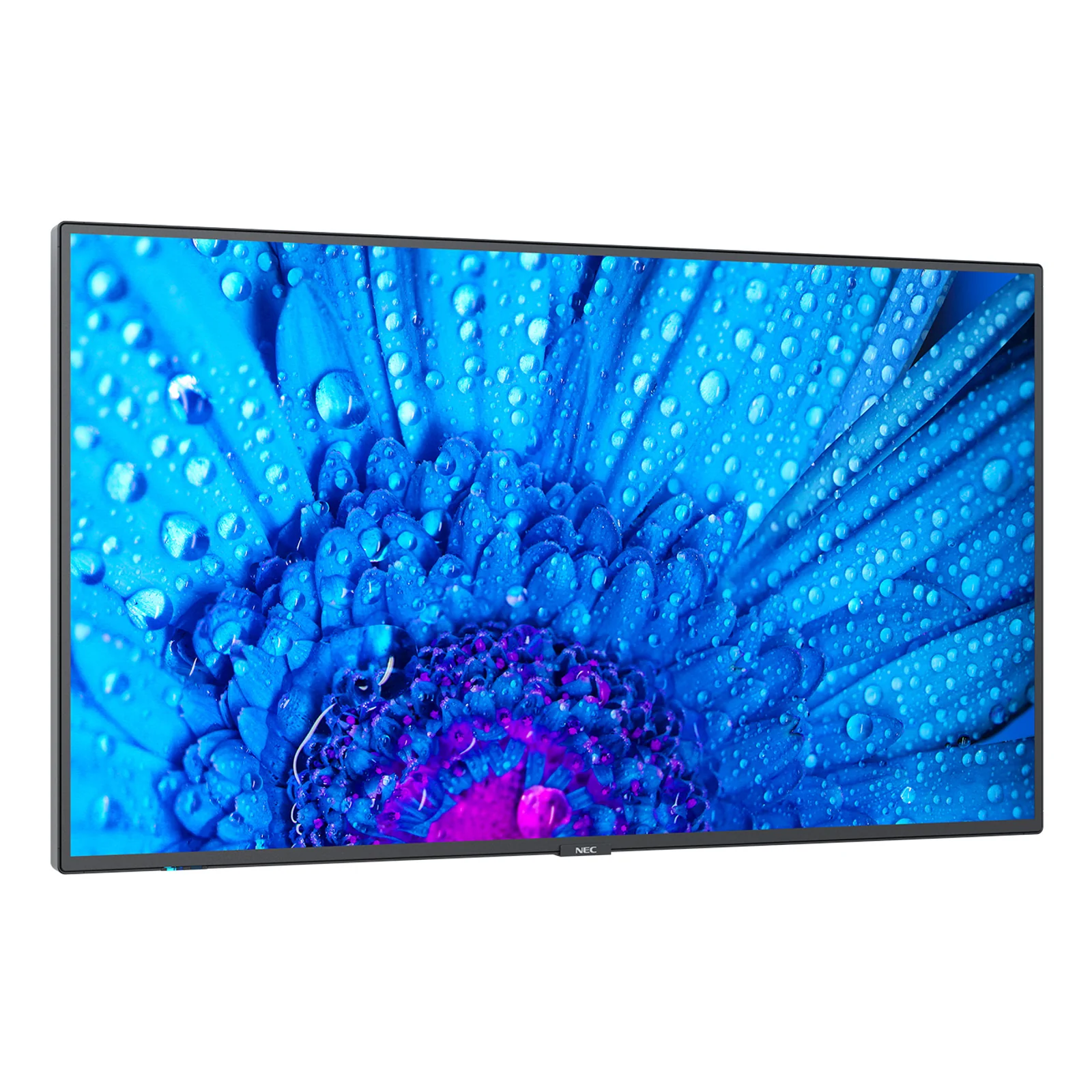 NEC MultiSync M651 Écran plat de signalisation numérique 165,1 cm (65") IPS 500 cd/m² 4K Ultra HD Noir 24/7