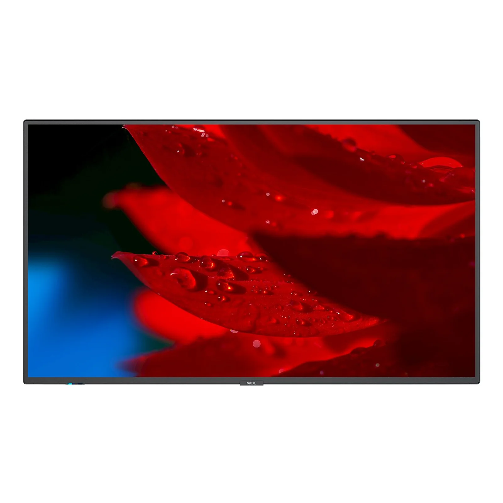 NEC MultiSync MA491 Écran plat de signalisation numérique 124,5 cm (49") LCD 500 cd/m² 4K Ultra HD Noir 24/7