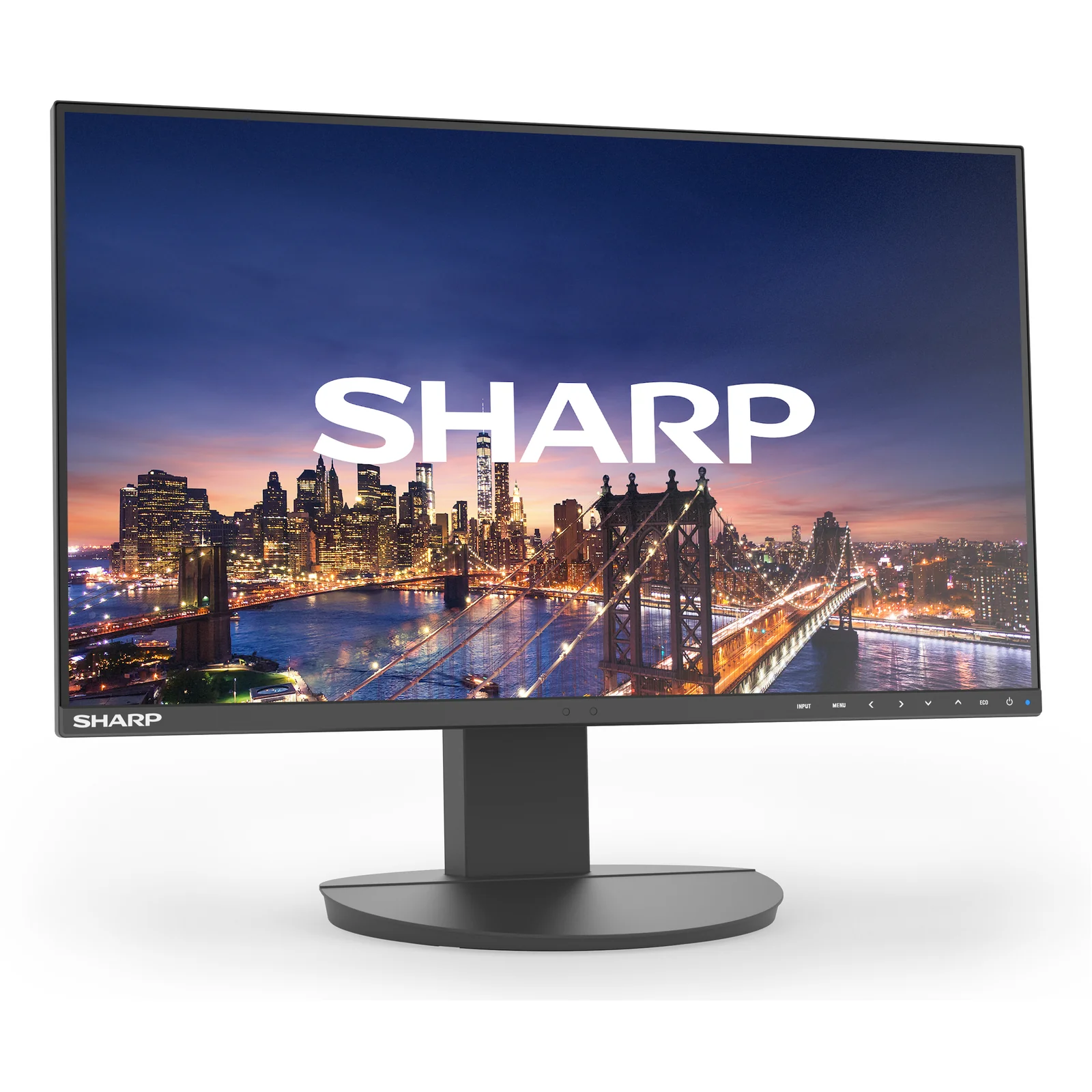Sharp MultiSync EA242F écran plat de PC 61 cm (24") 1920 x 1080 pixels Full HD LCD Noir