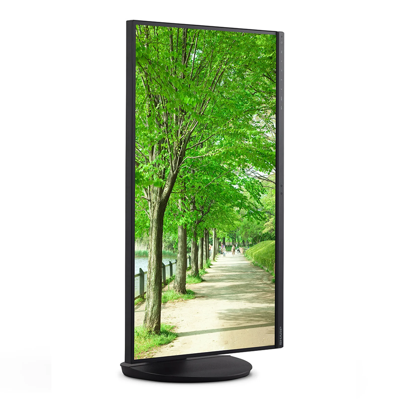 Sharp MultiSync EA272Q écran plat de PC 68,6 cm (27") 2560 x 1440 pixels 4K Ultra HD LCD Noir