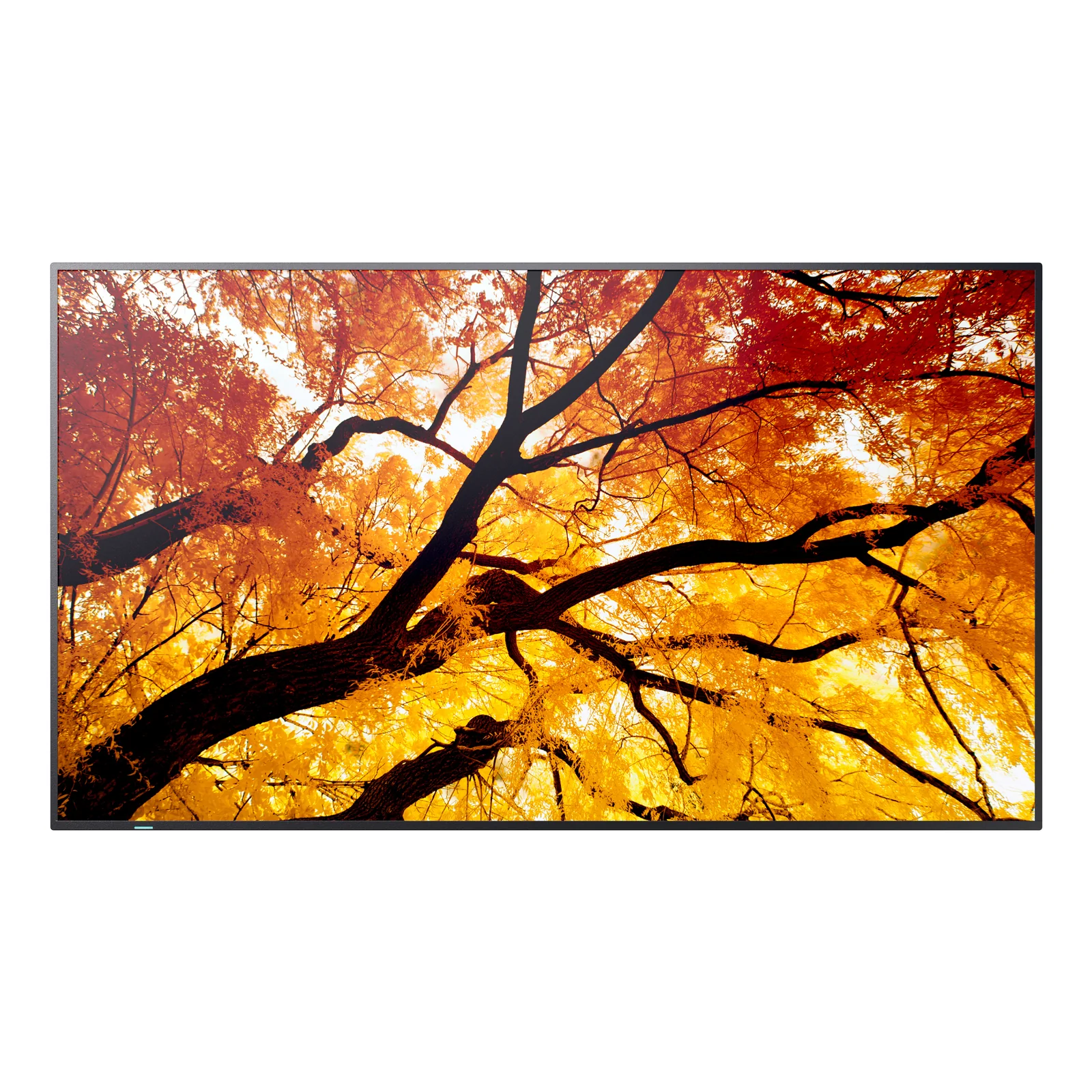 Sharp MultiSync PN-M752 189,2 cm (74.5") LED 550 cd/m² 4K Ultra HD Noir 24/7