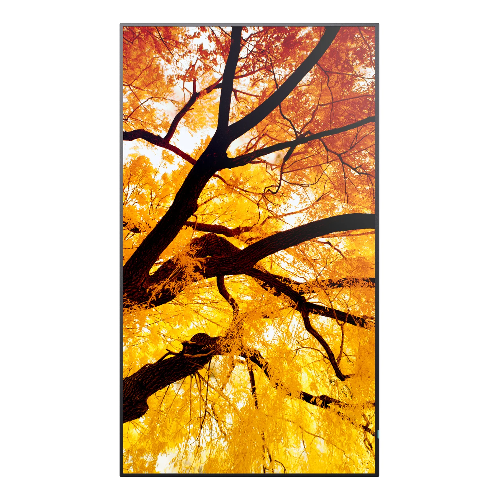 Sharp MultiSync PN-M752 189,2 cm (74.5") LED 550 cd/m² 4K Ultra HD Noir 24/7