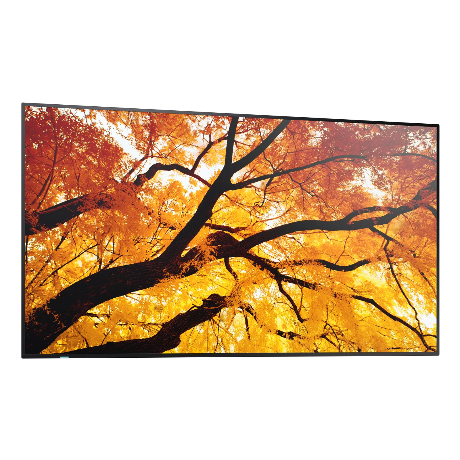 Sharp MultiSync PN-M752 189,2 cm (74.5") LED 550 cd/m² 4K Ultra HD Noir 24/7