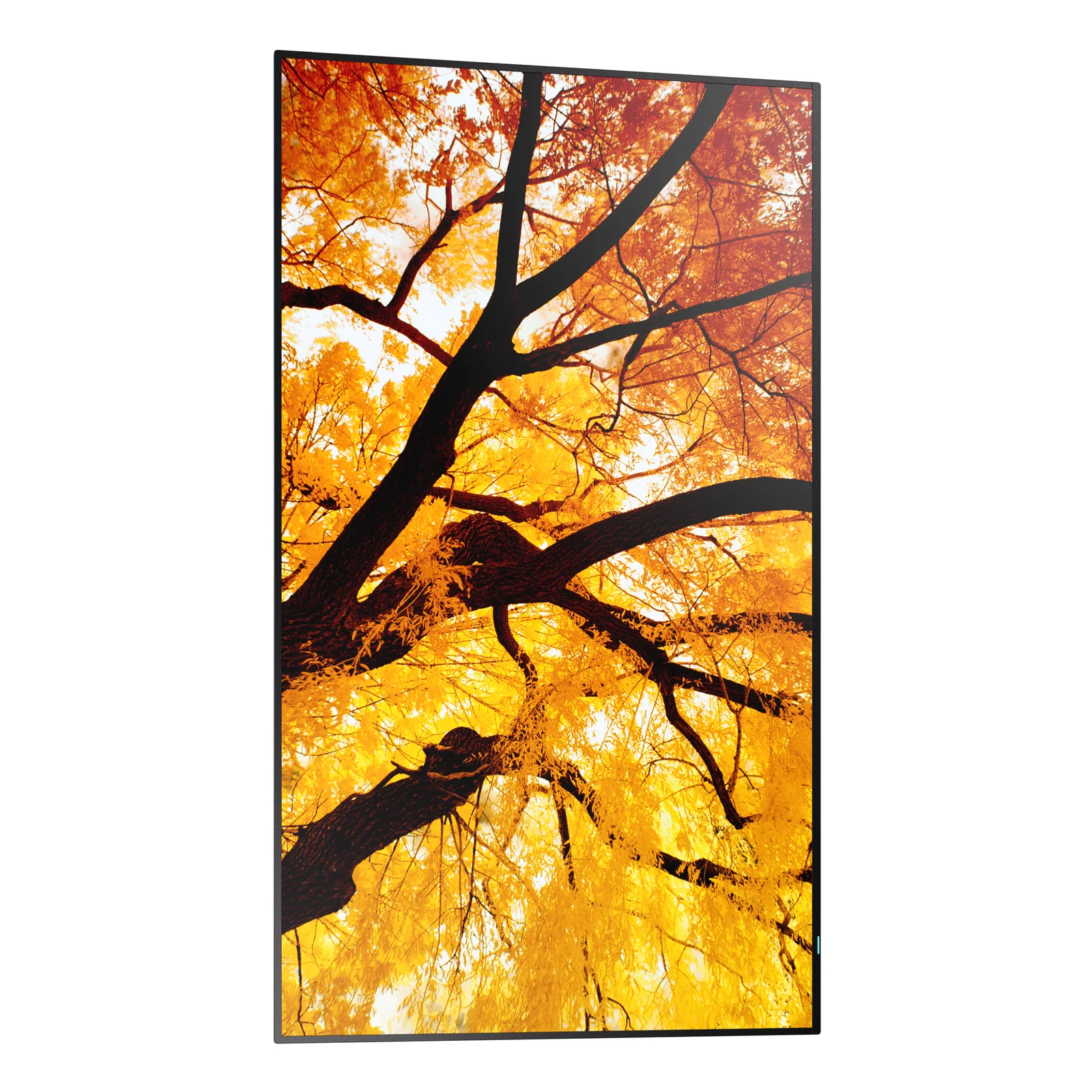 Sharp MultiSync PN-M752 189,2 cm (74.5") LED 550 cd/m² 4K Ultra HD Noir 24/7