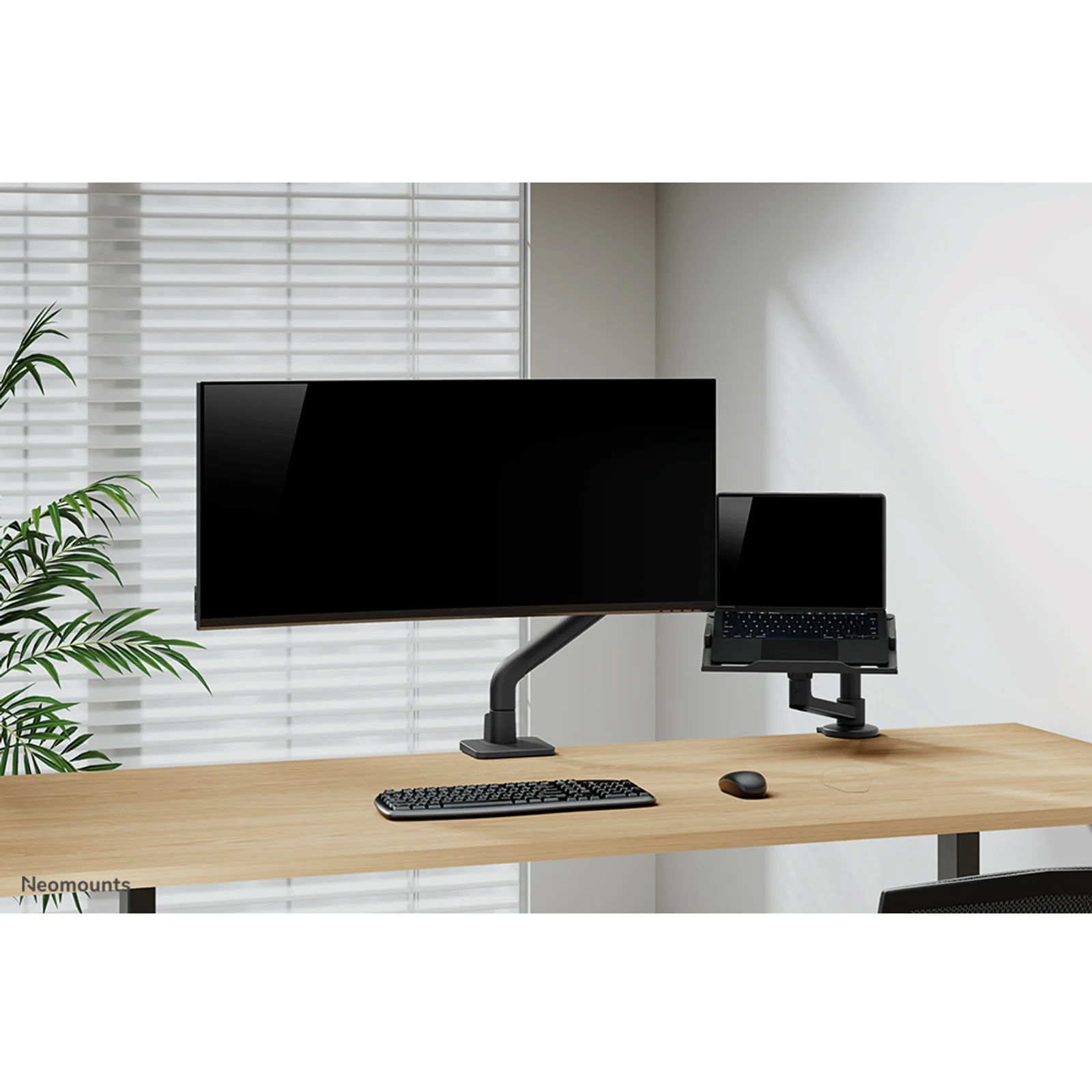 Neomounts DS20-425BL1 Support d'ordinateur portable à fixer 11.6-17.3" - économie d'espace