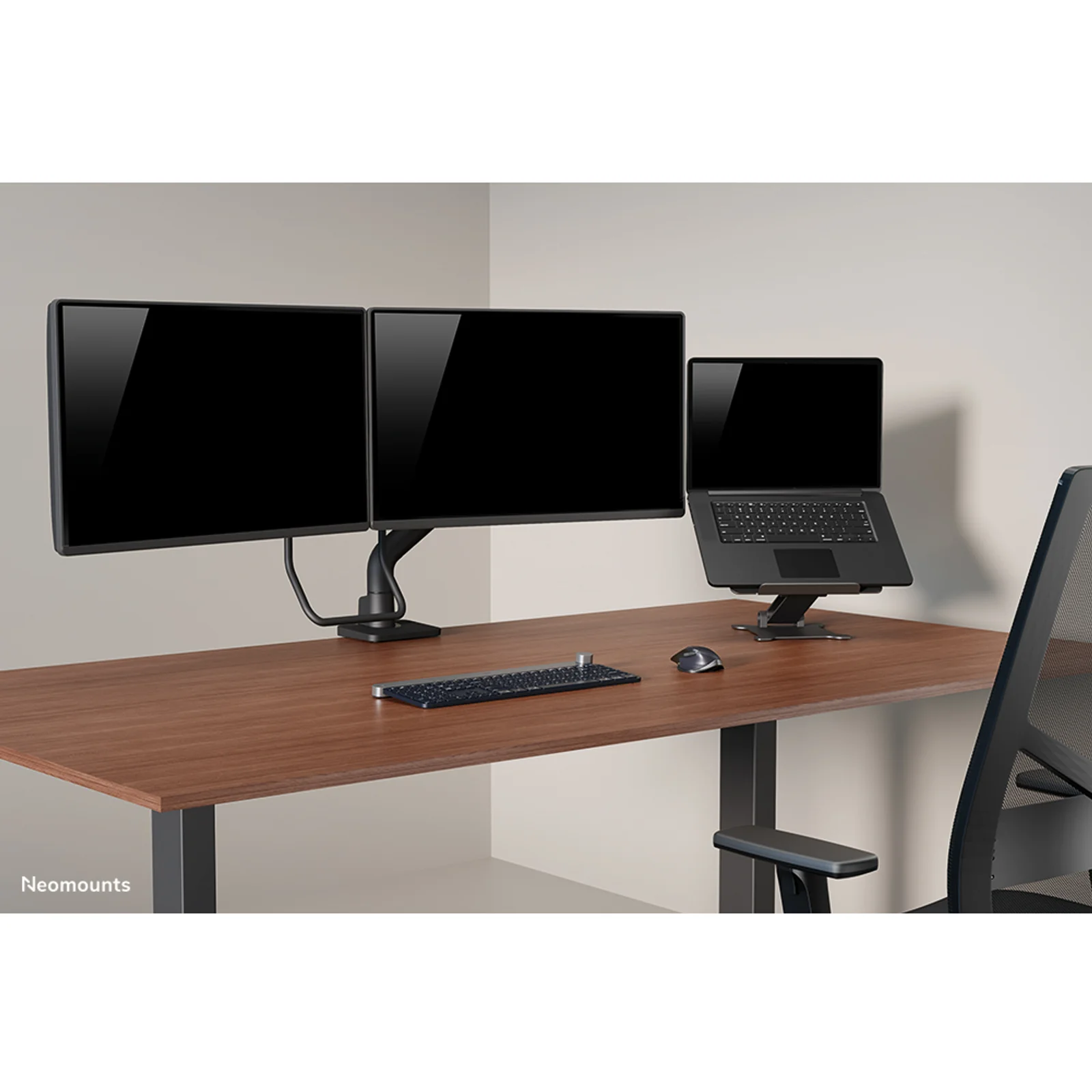 Neomounts DS20-740BL1 Support pour ordinateur portable 11-15" - ajustement en hauteur - pliable - compact - universel