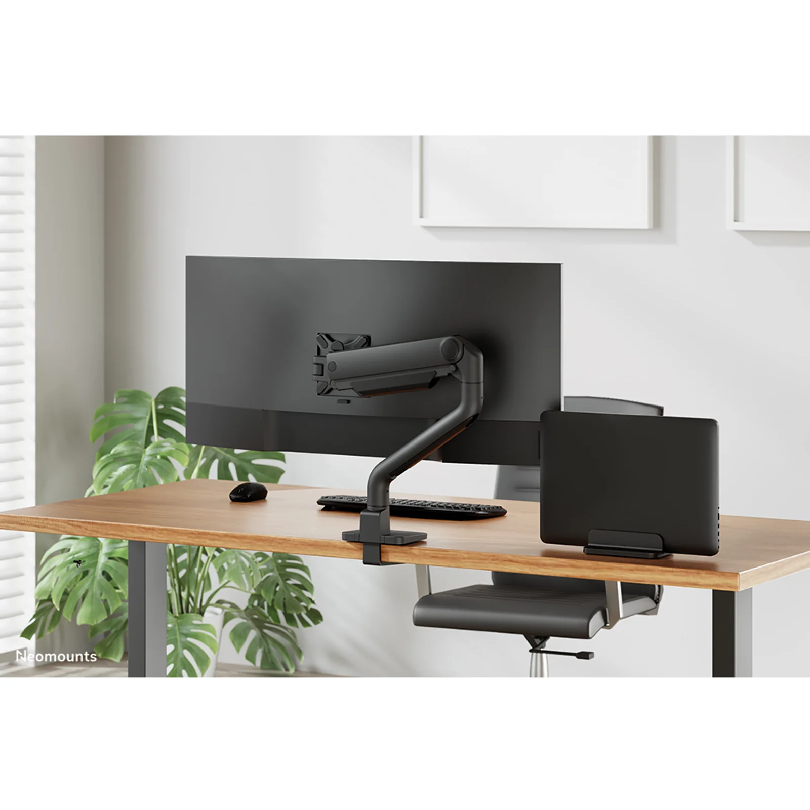 Neomounts NSLS300BLACK Support d'ordinateur portable 11-17" - universel