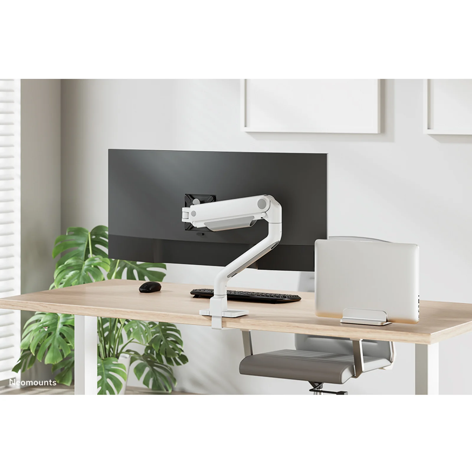Neomounts NSLS300SILVER Support d'ordinateur portable 11-17" - universel