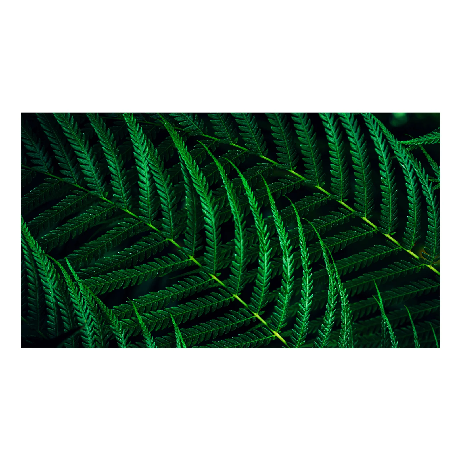 Philips 5000 series 24B2G5200/00 écran plat de PC 60,5 cm (23.8") 1920 x 1080 pixels Full HD LCD Anthracite
